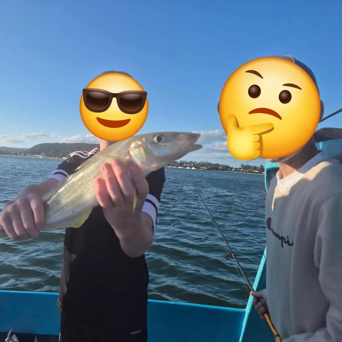 The most recent King George whiting catches on Fishbrain