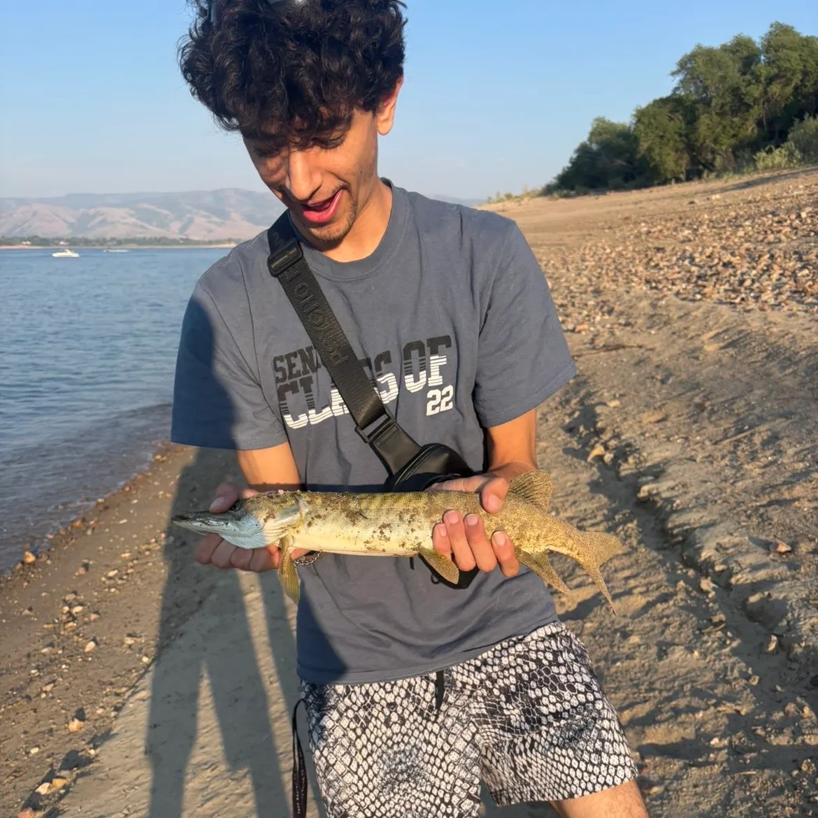 The most recent Tiger muskellunge catches on Fishbrain
