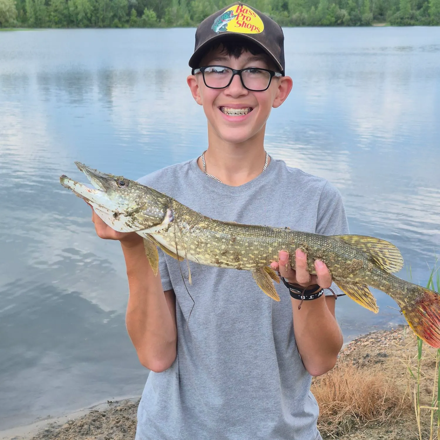 Northern pike caught on Fishbrain