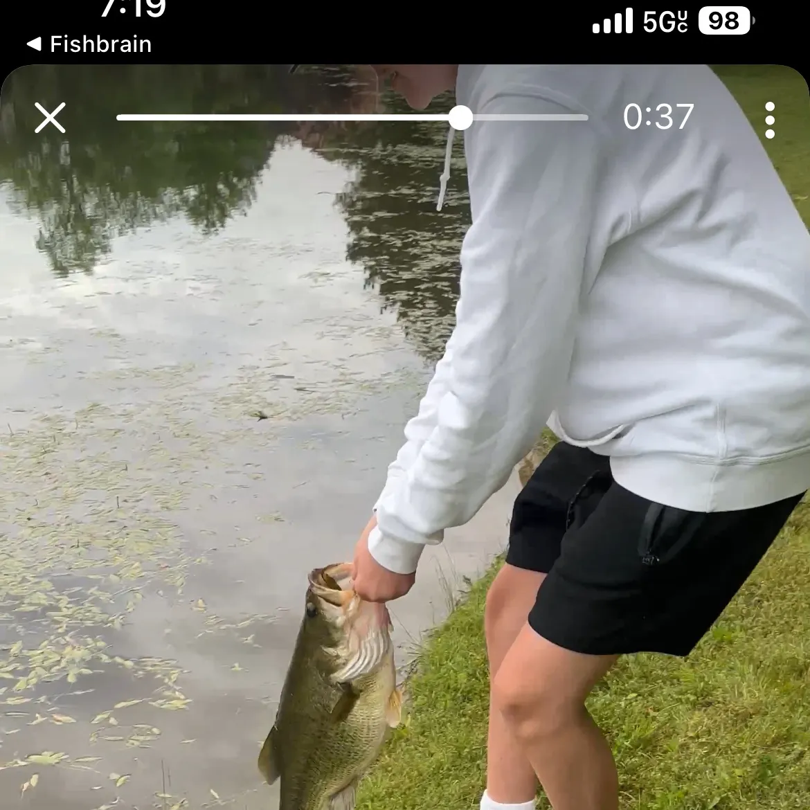 recently logged catches