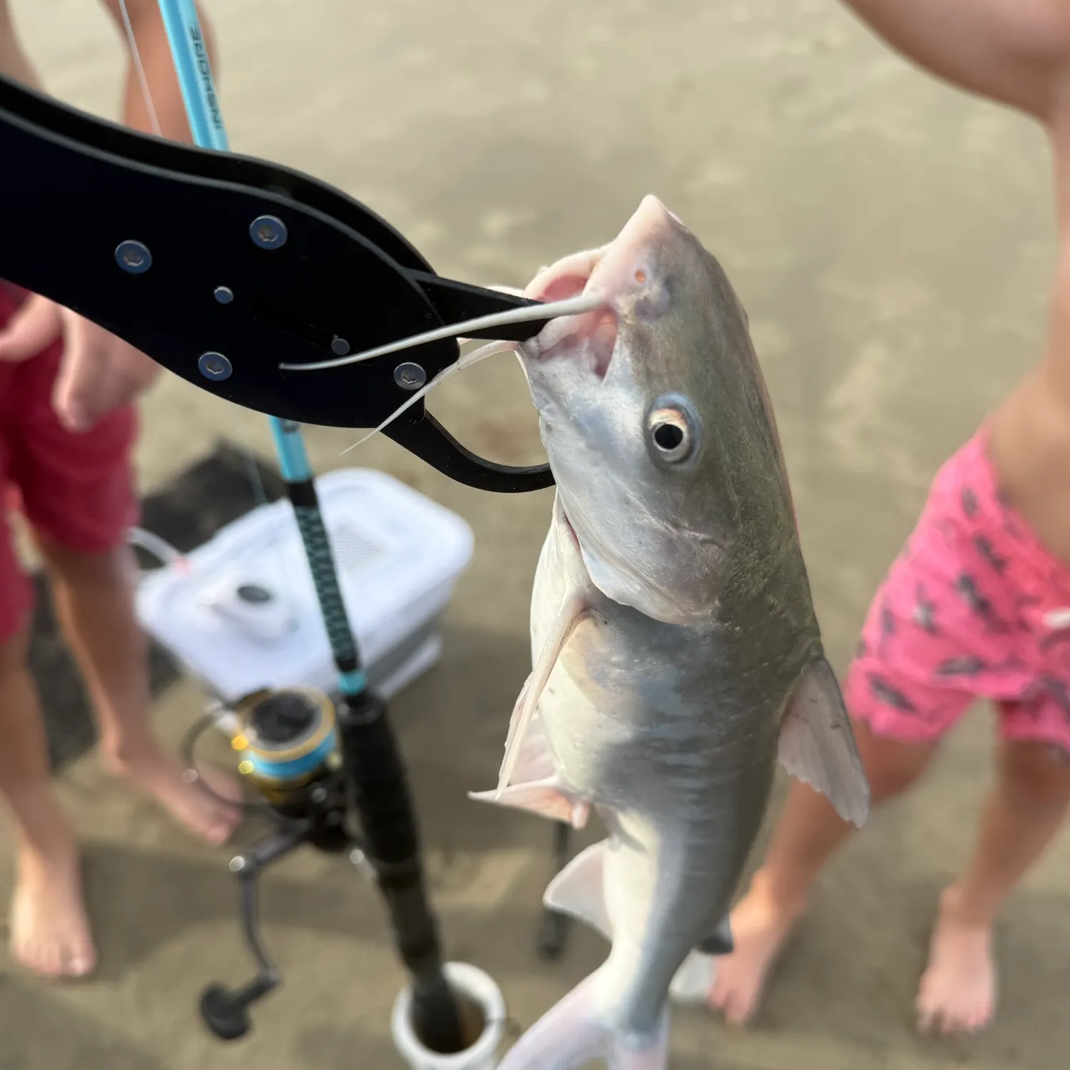 catch