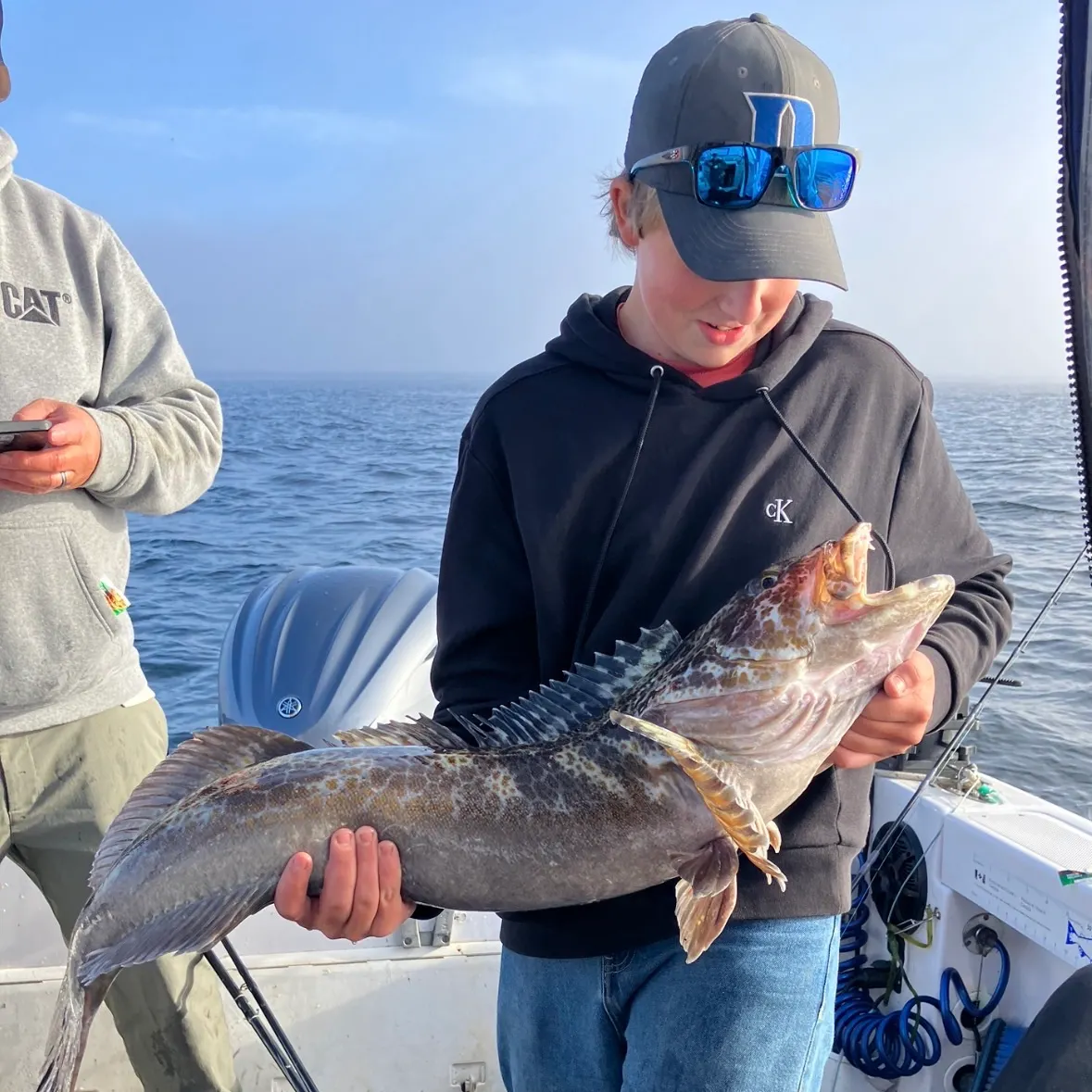 Lingcod caught on Fishbrain