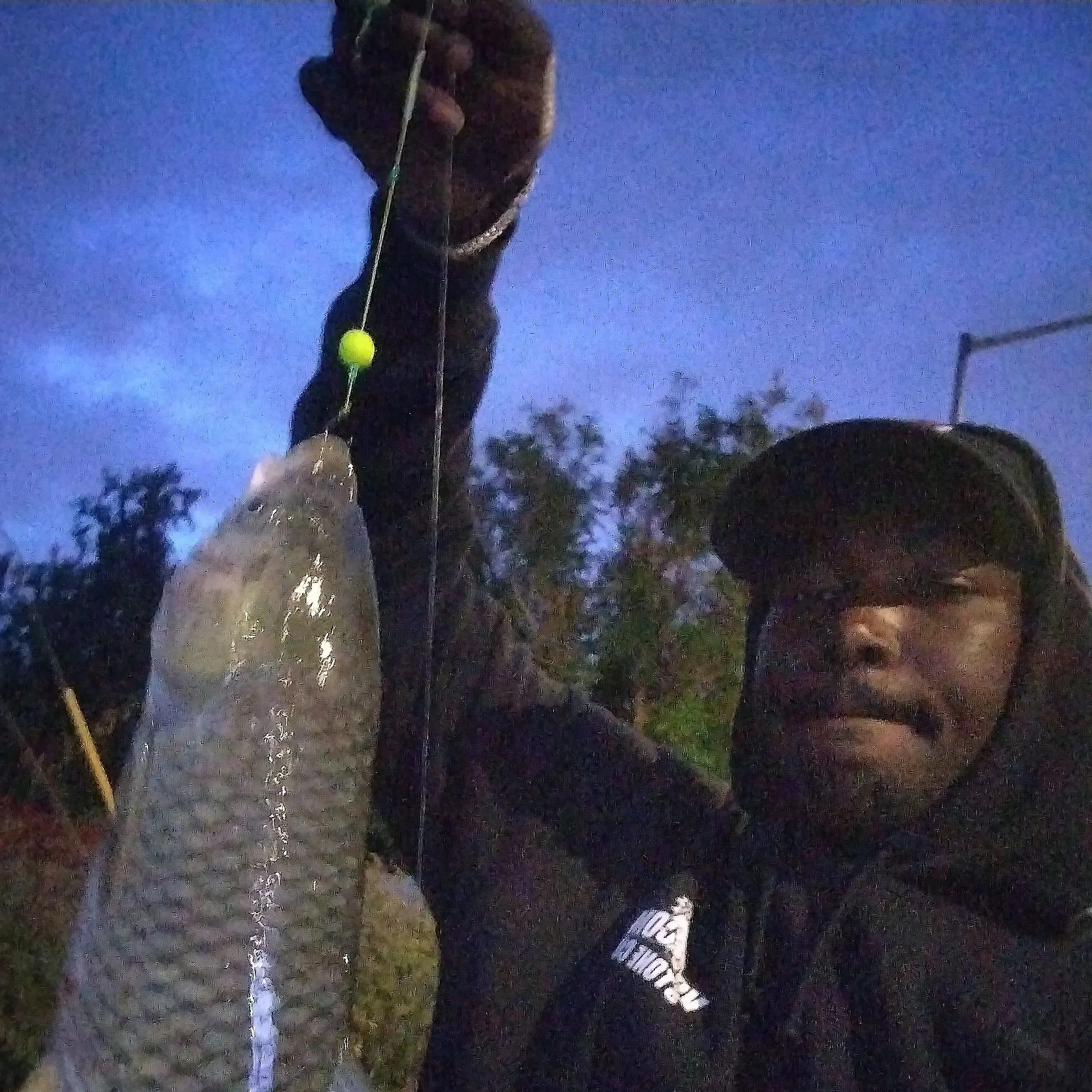 The most recent Grass carp catches on Fishbrain