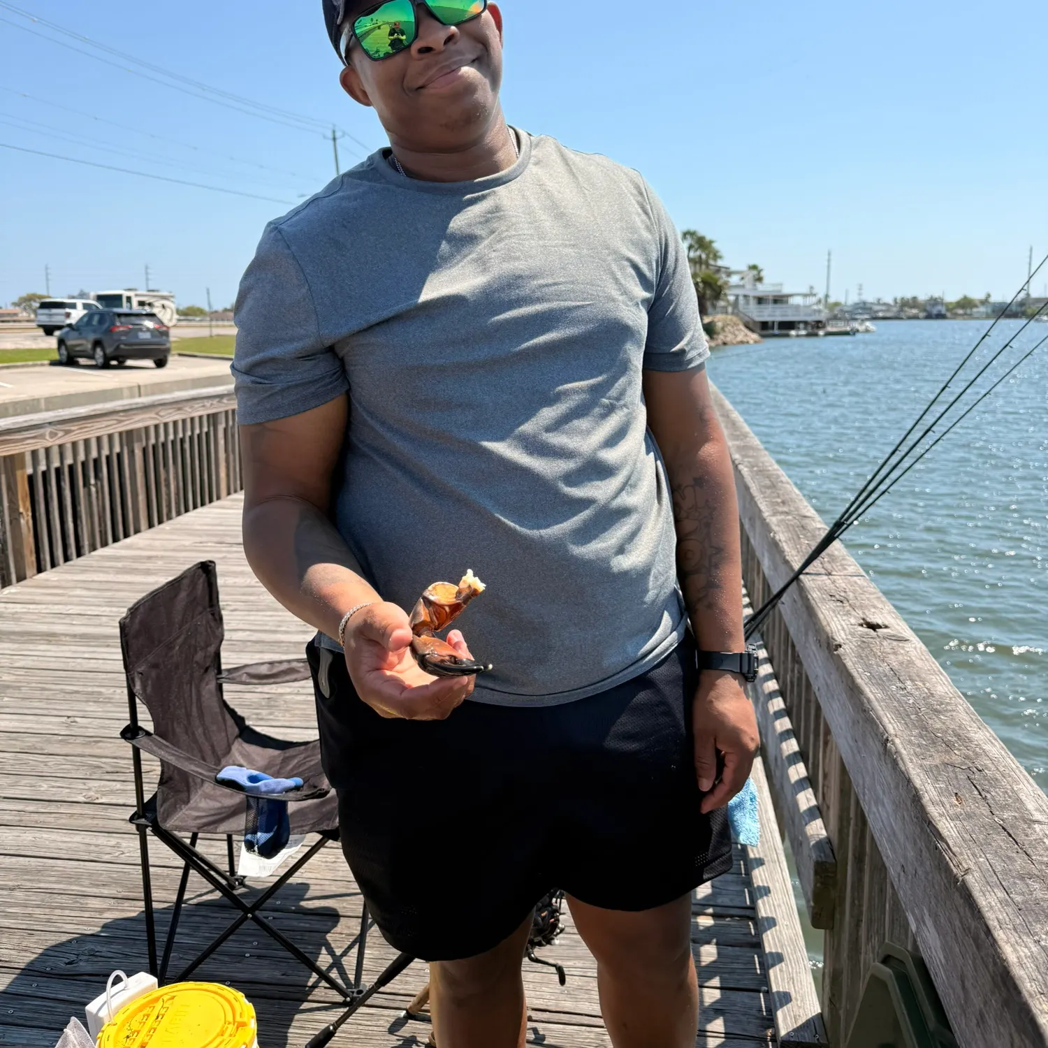 The most recent Florida stone crab catches on Fishbrain