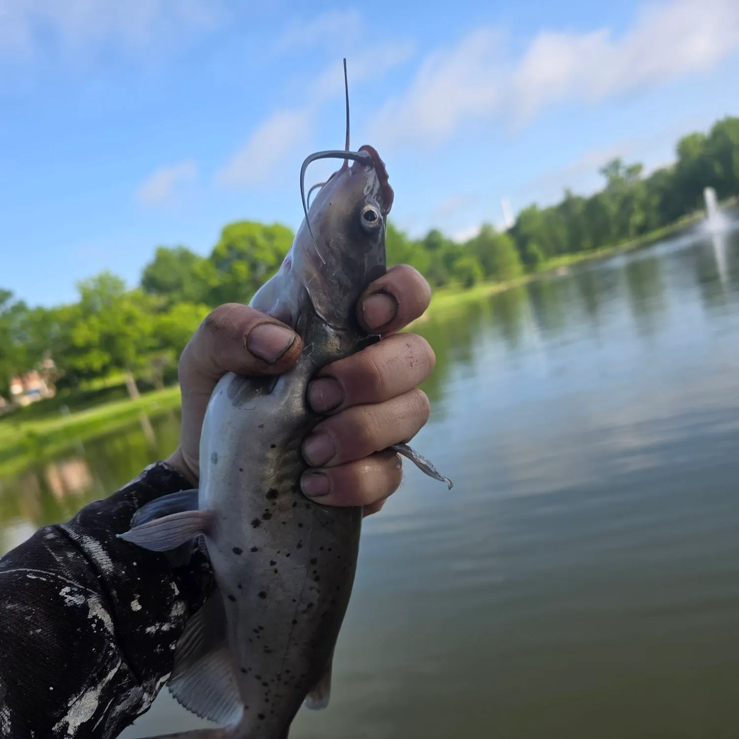 catch