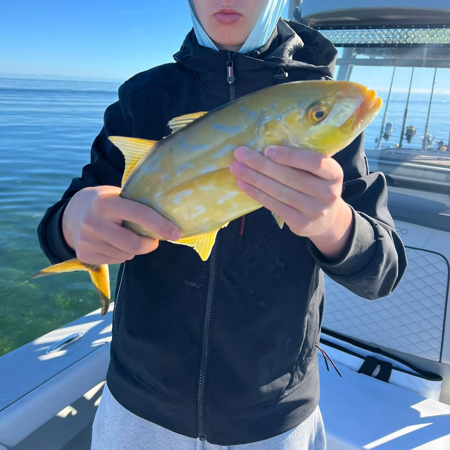 The most recent Yellow jack catches on Fishbrain