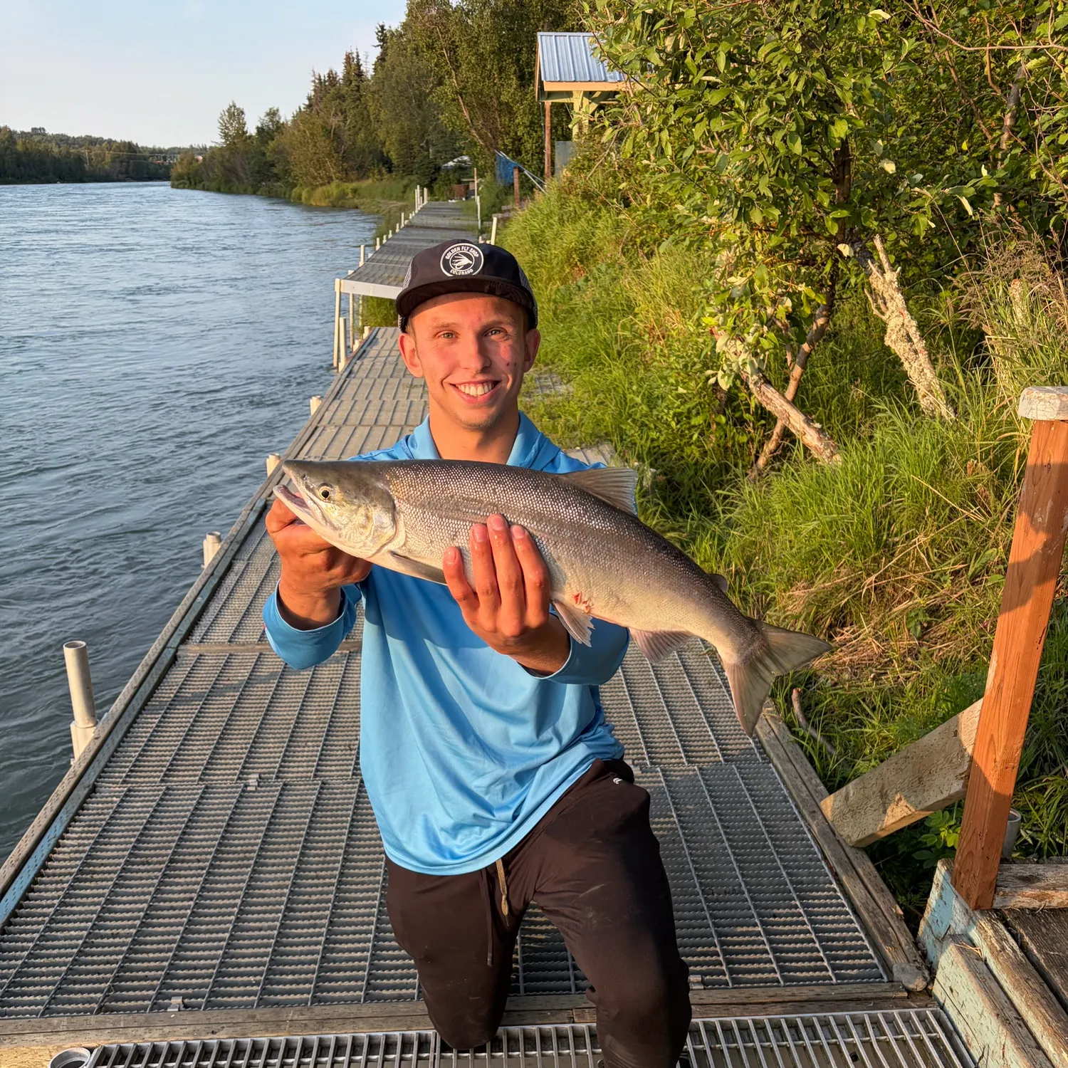 The most recent Sockeye salmon catches on Fishbrain