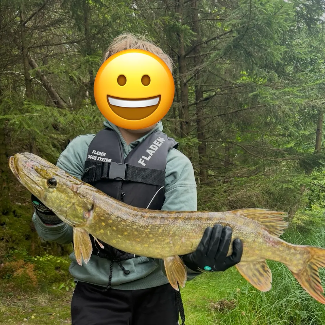 Northern pike caught on Fishbrain