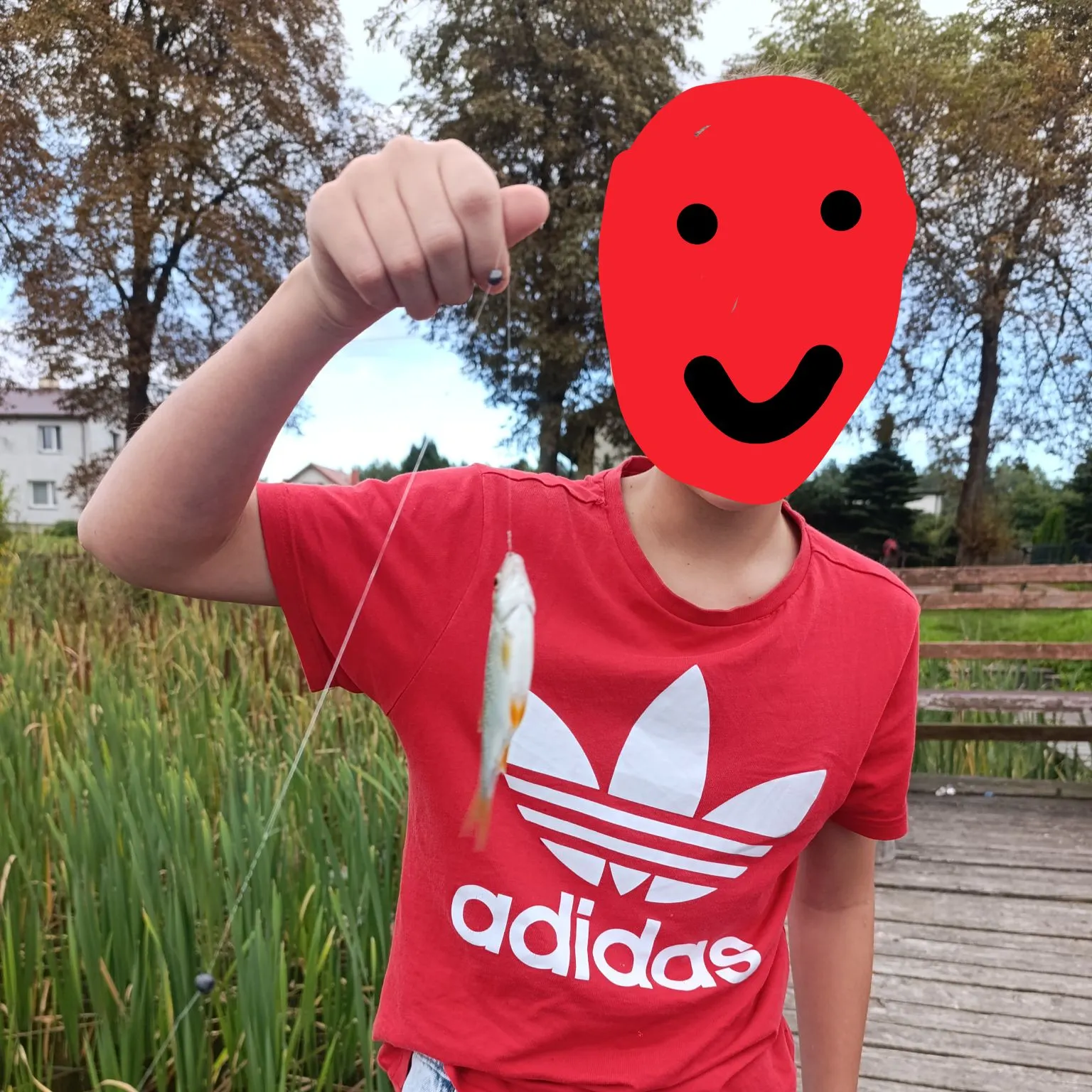 Common roach caught on Fishbrain