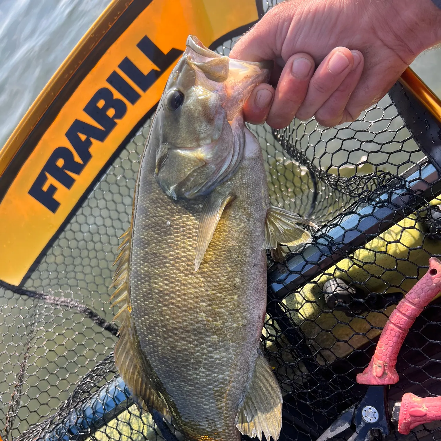 angler catch