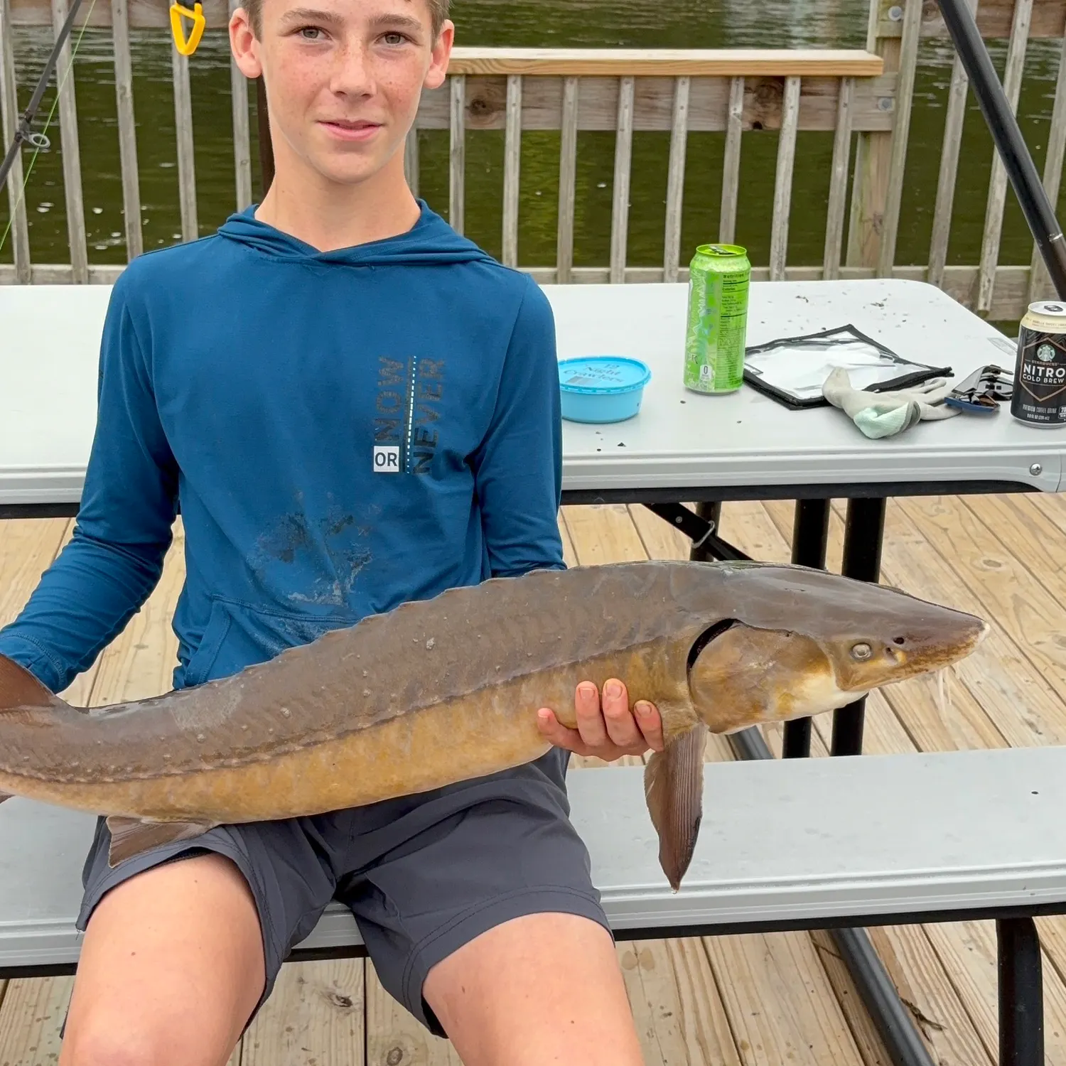 Lake sturgeon caught on Fishbrain