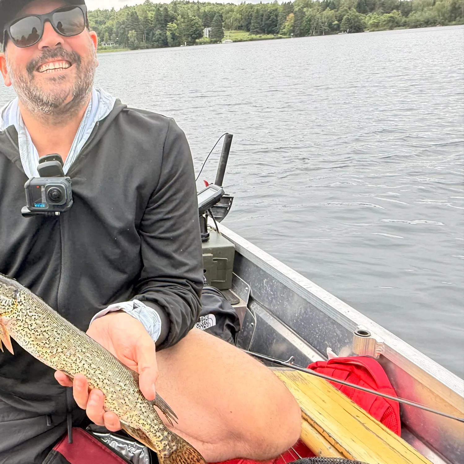 Northern pike caught on Fishbrain