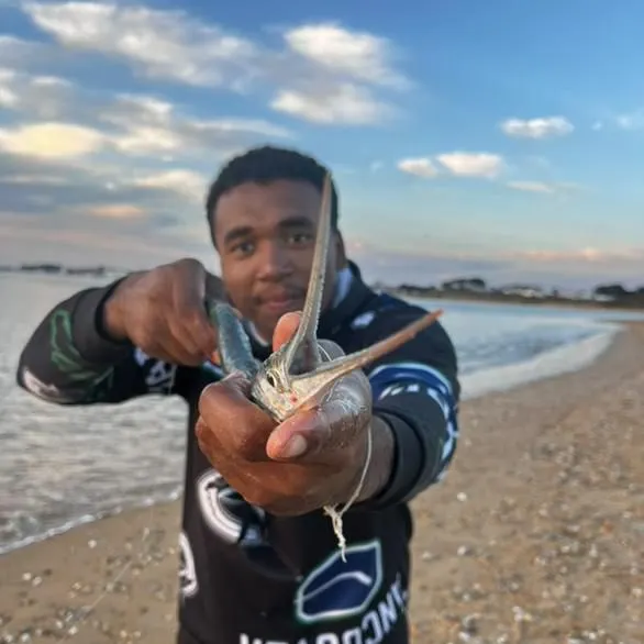 most liked catch image