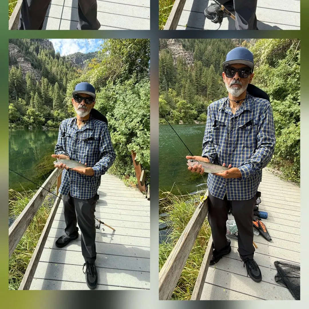 Rainbow trout caught on Fishbrain