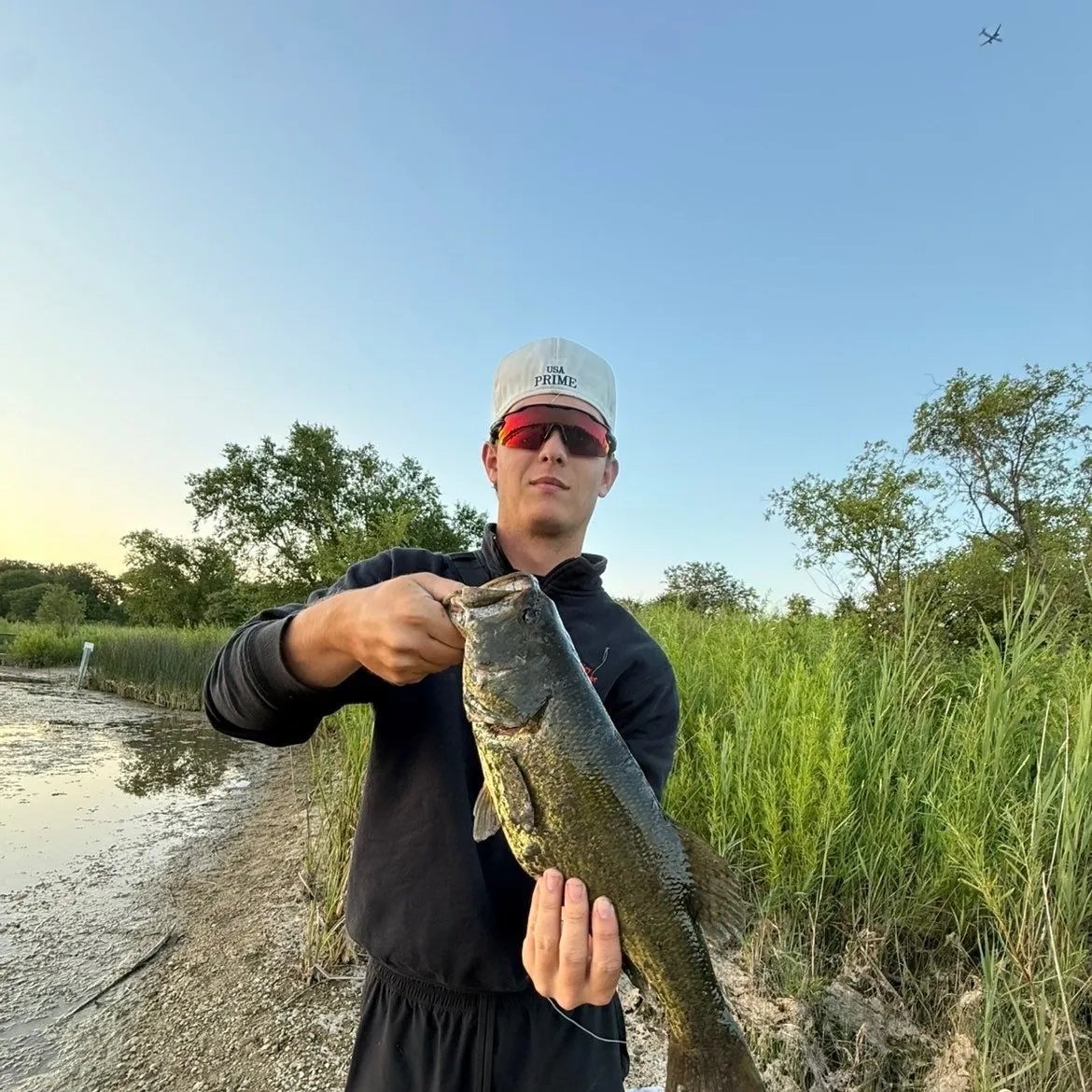 Fish caught on Fishbrain
