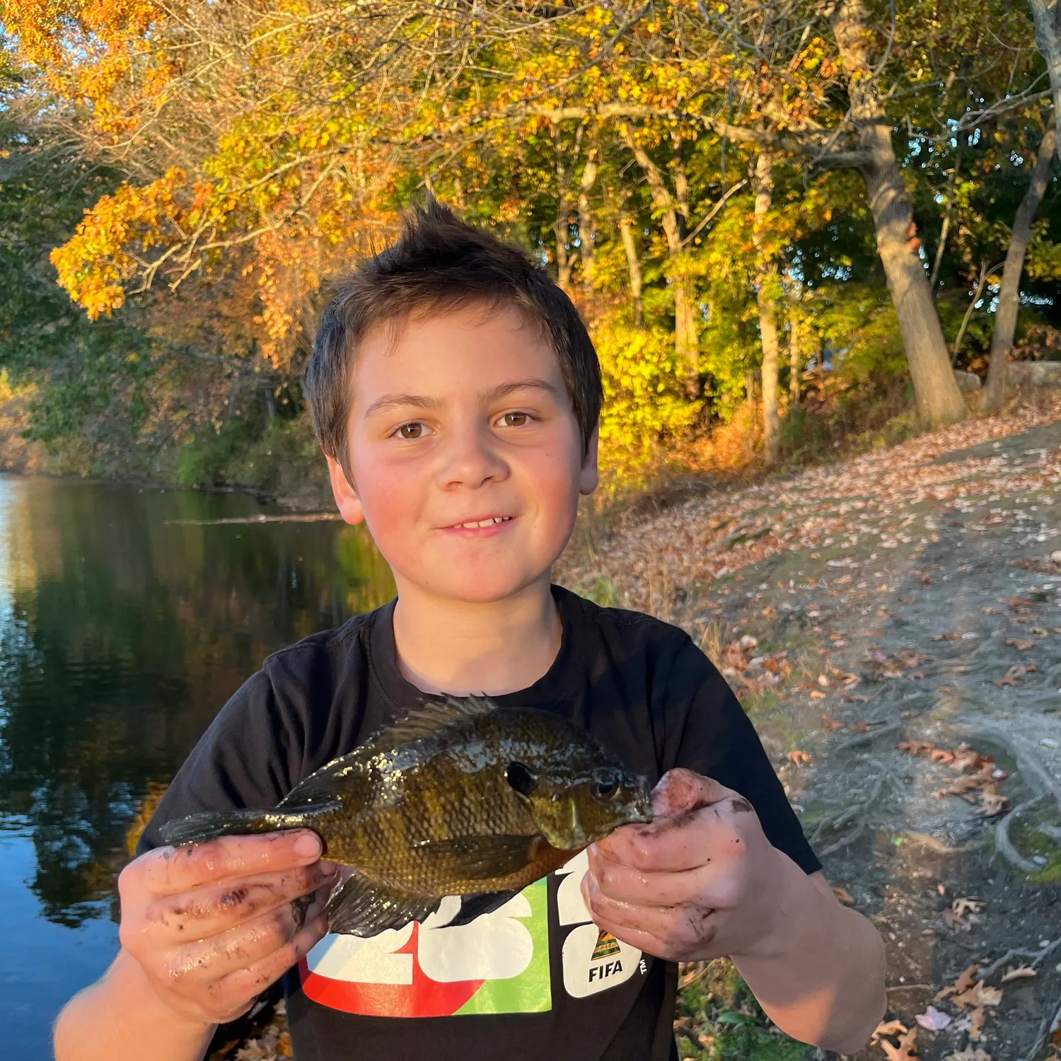 Greengill hybrid caught on Fishbrain
