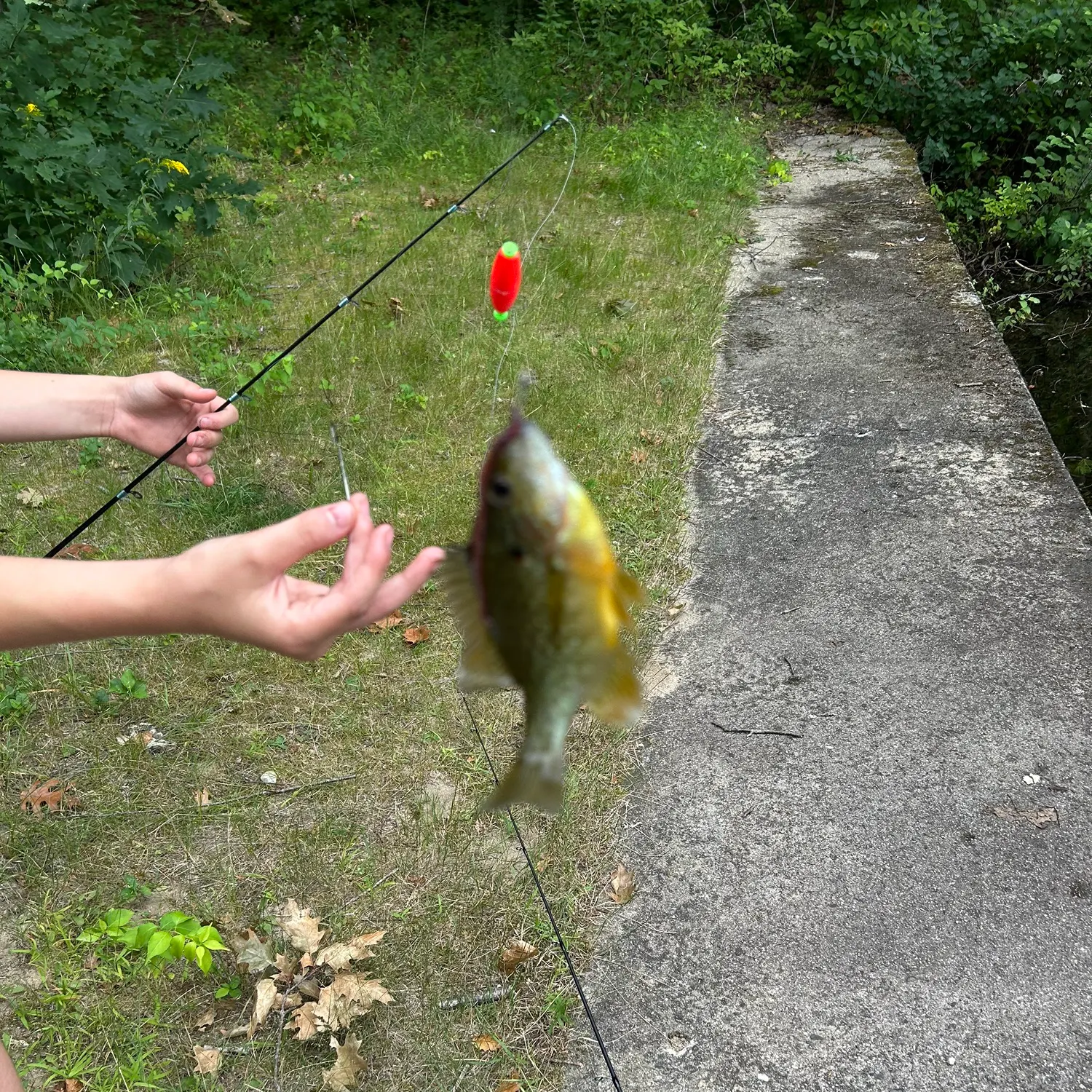 catch