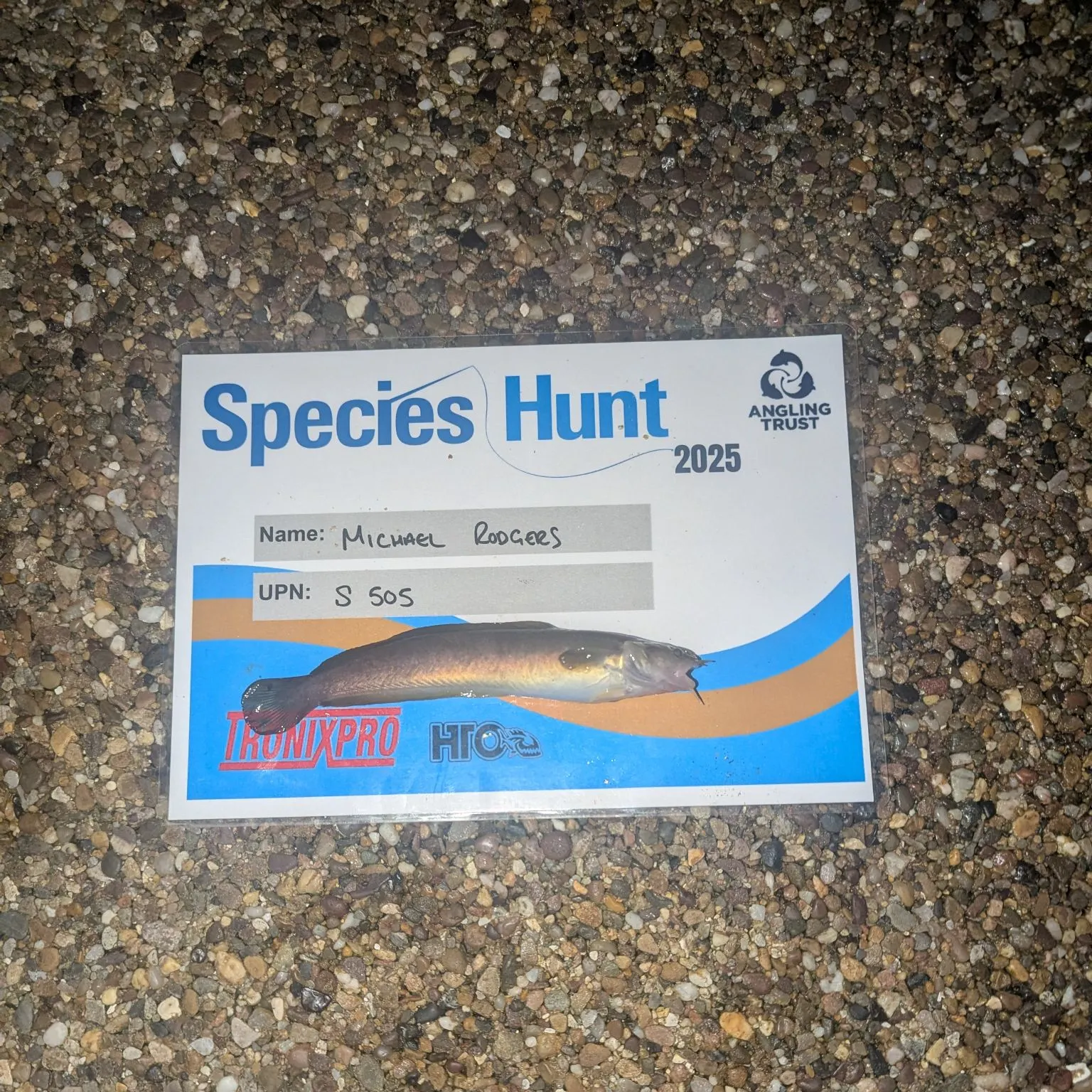 The most recent Fourbeard rockling catches on Fishbrain