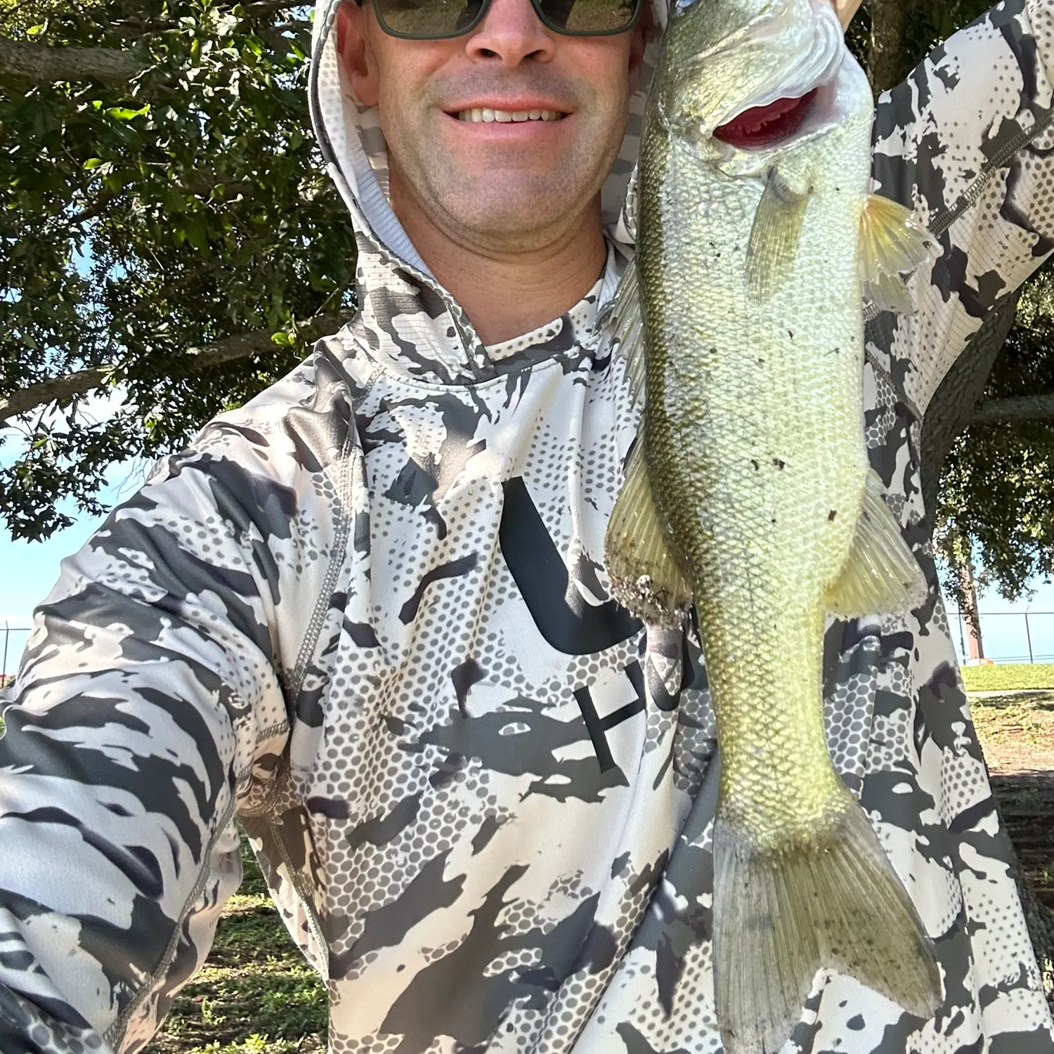 Largemouth bass caught on Fishbrain
