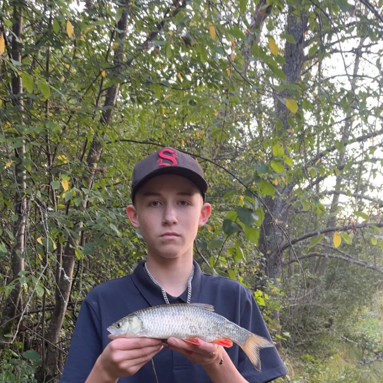 Fish caught on Fishbrain