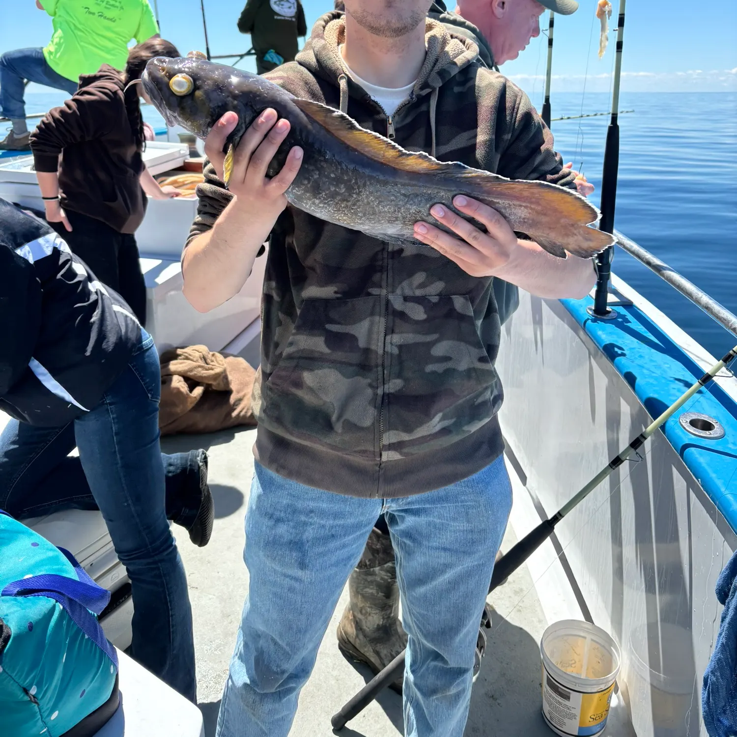 most liked catch image