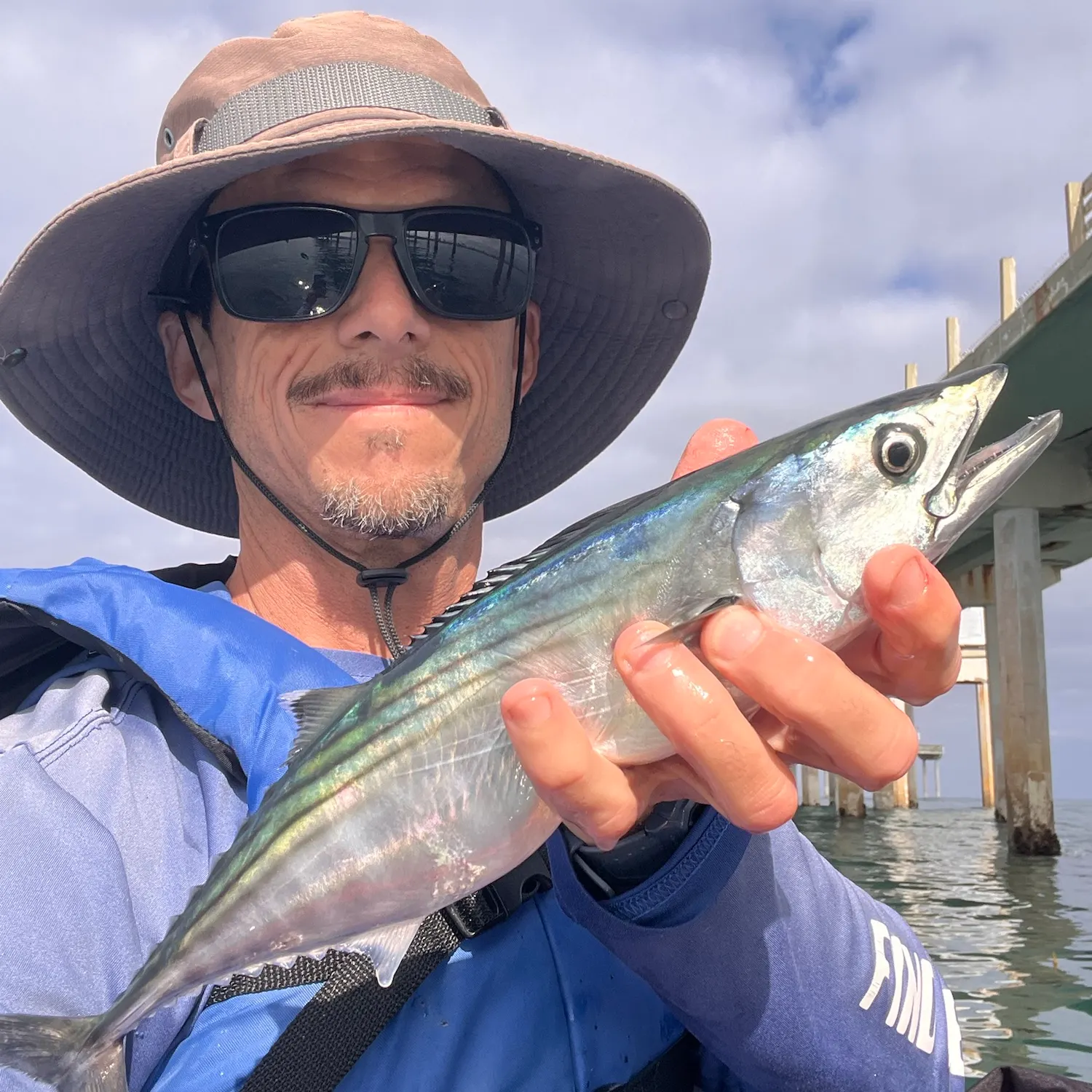 Eastern Pacific bonito caught on Fishbrain