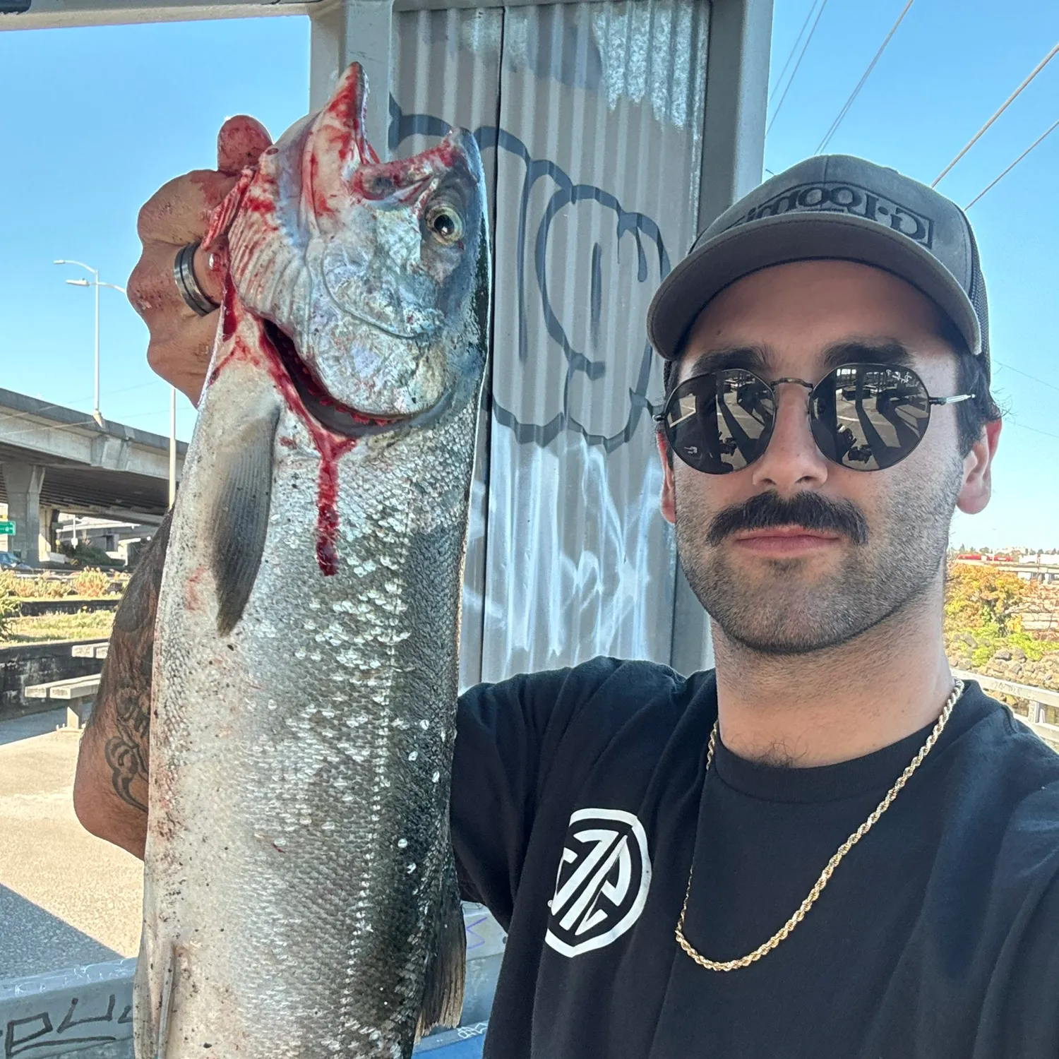 Coho salmon caught on Fishbrain
