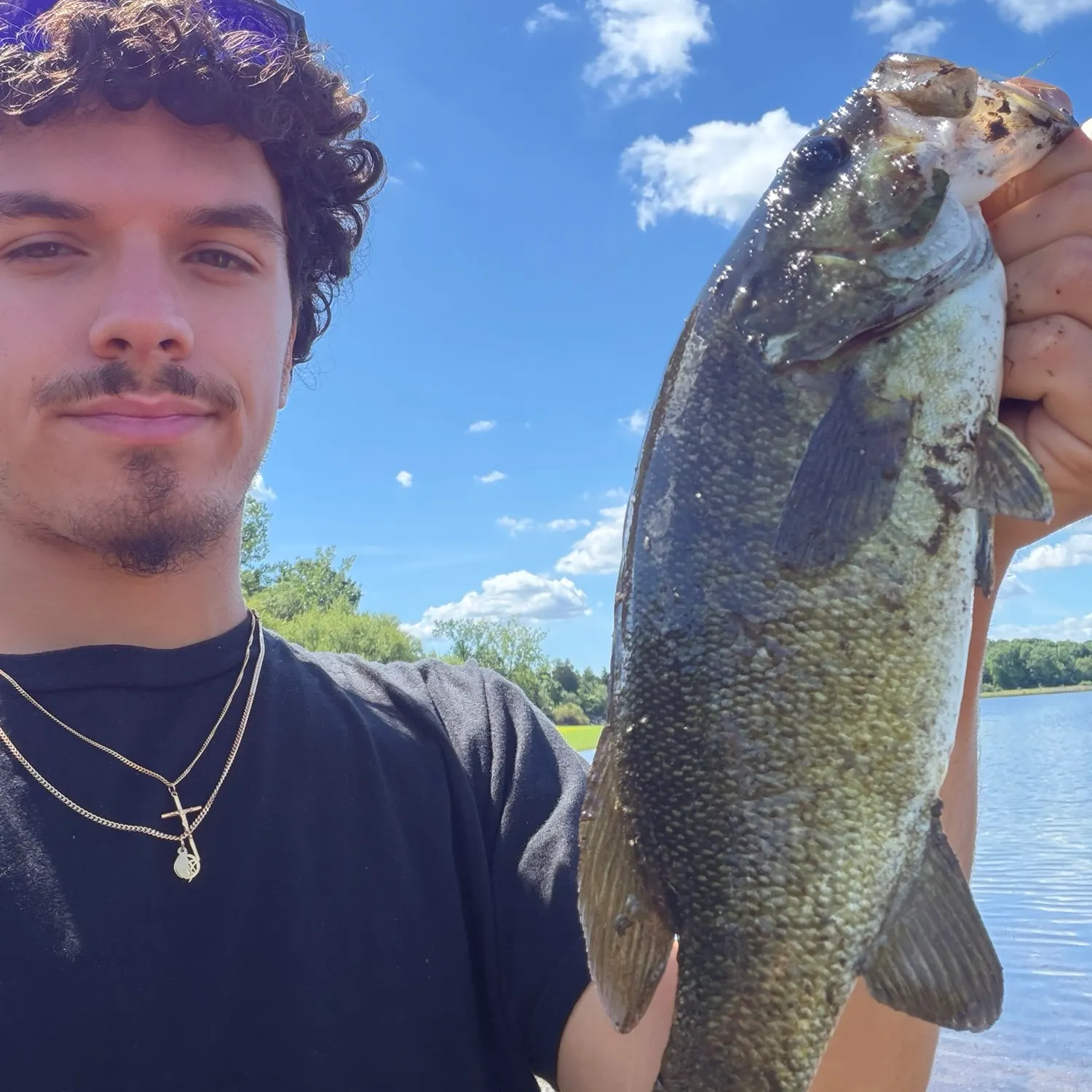 Smallmouth bass caught on Fishbrain