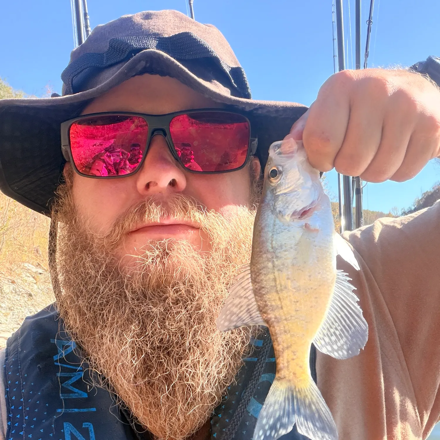White crappie caught on Fishbrain