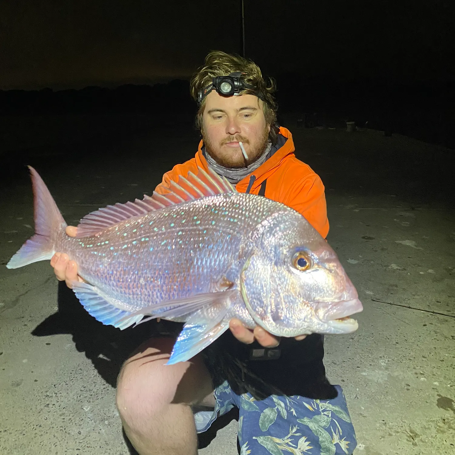 The most recent Australasian snapper catches on Fishbrain