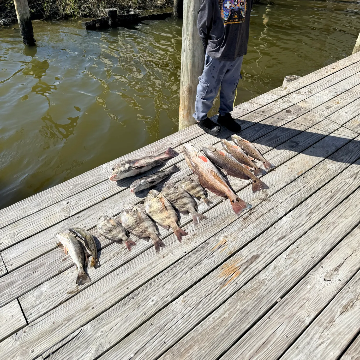Fish caught on Fishbrain