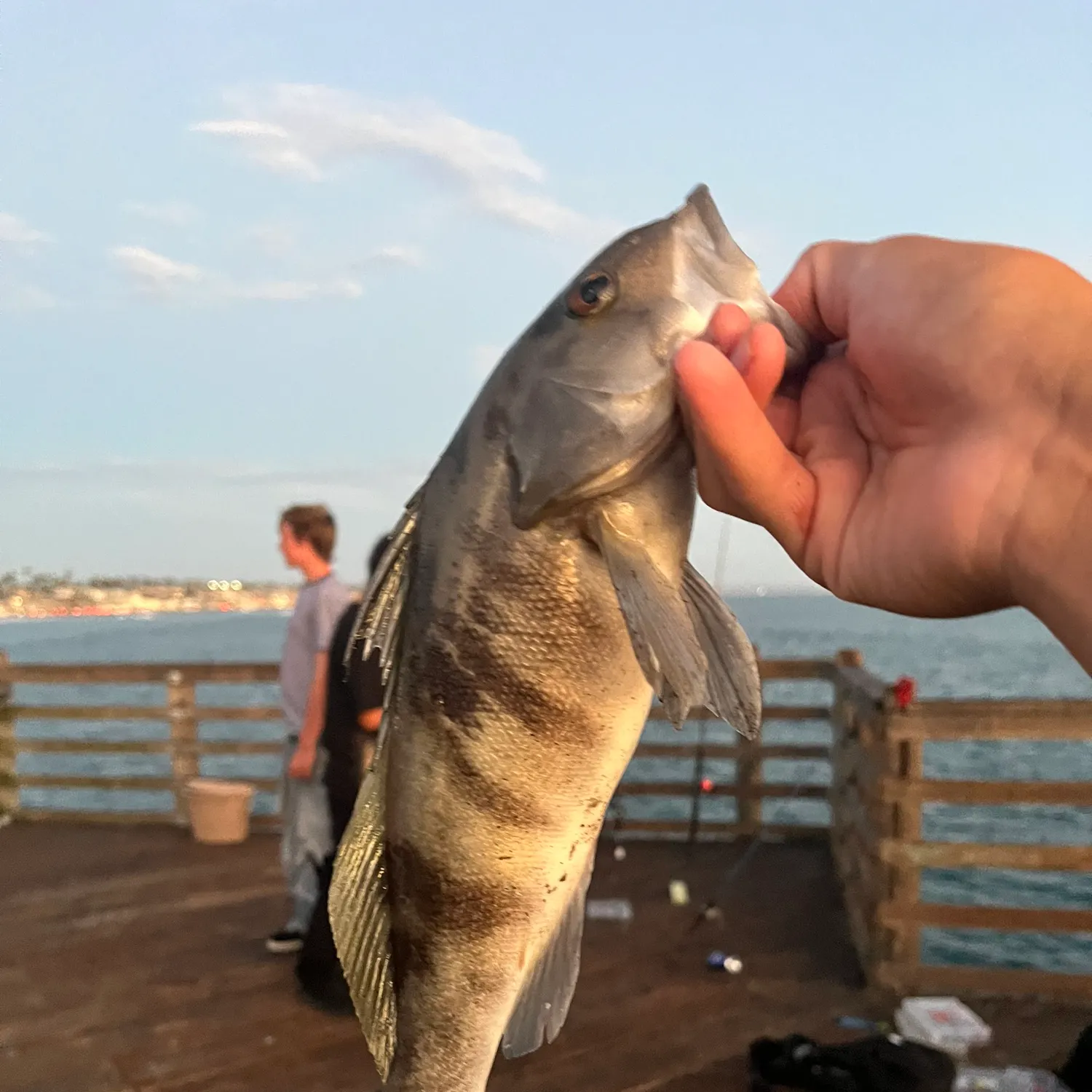 catch
