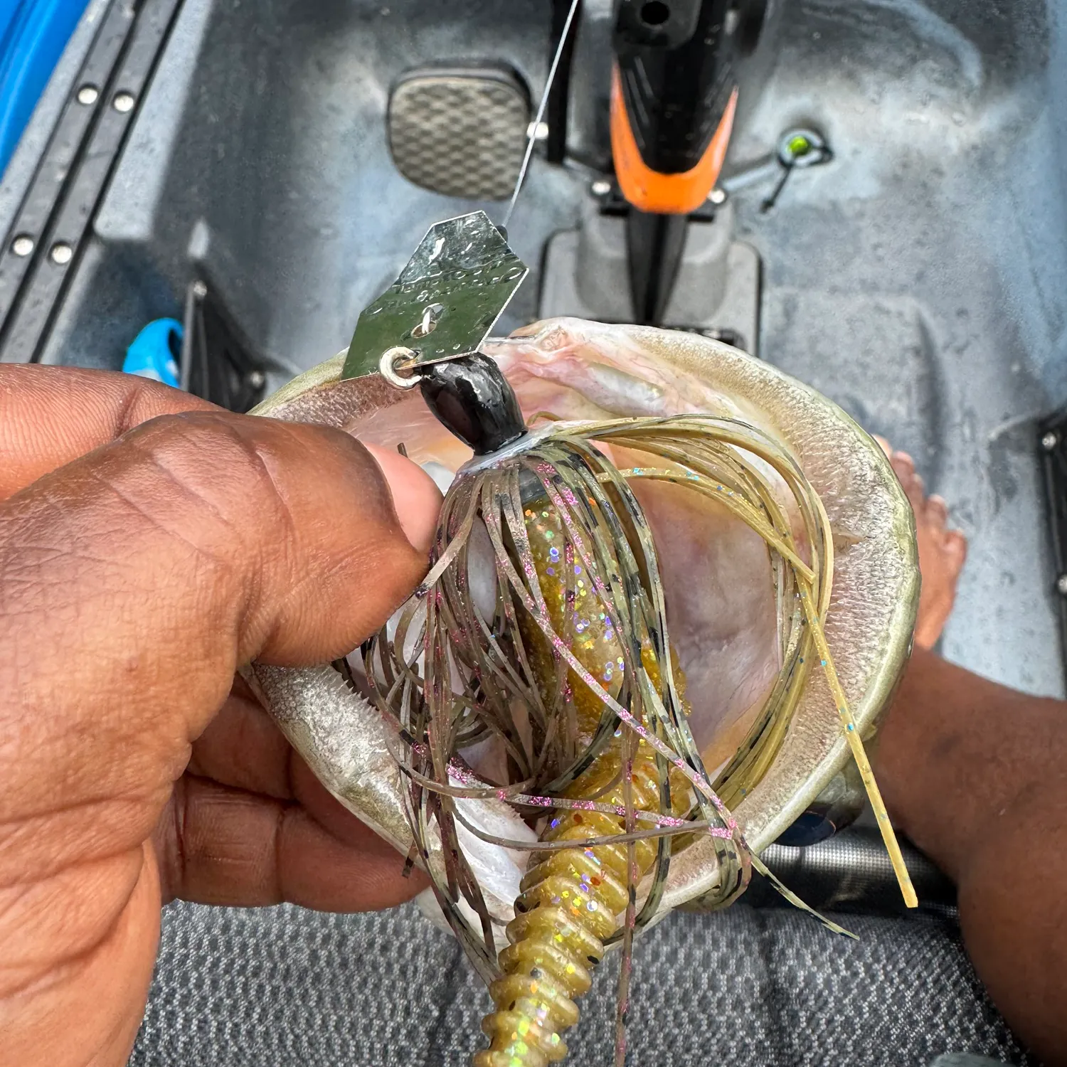 The most recent Spotted bass catches on Fishbrain