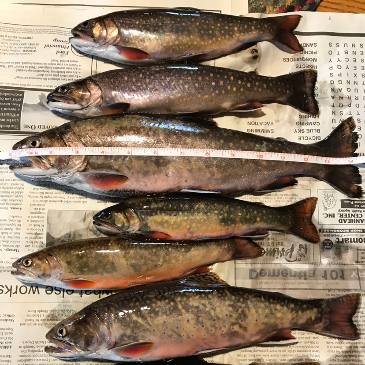 recently logged catches
