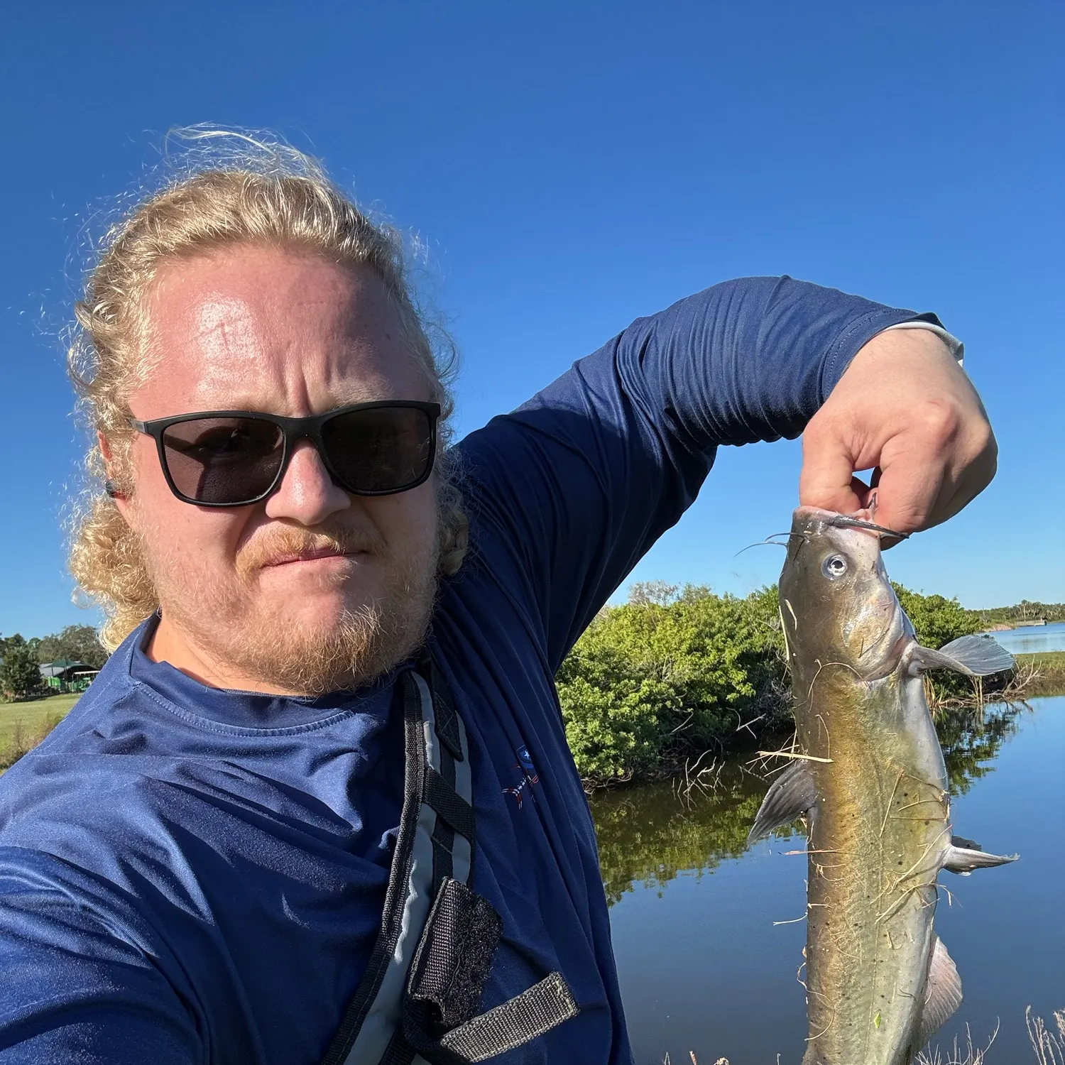 Channel catfish caught on Fishbrain