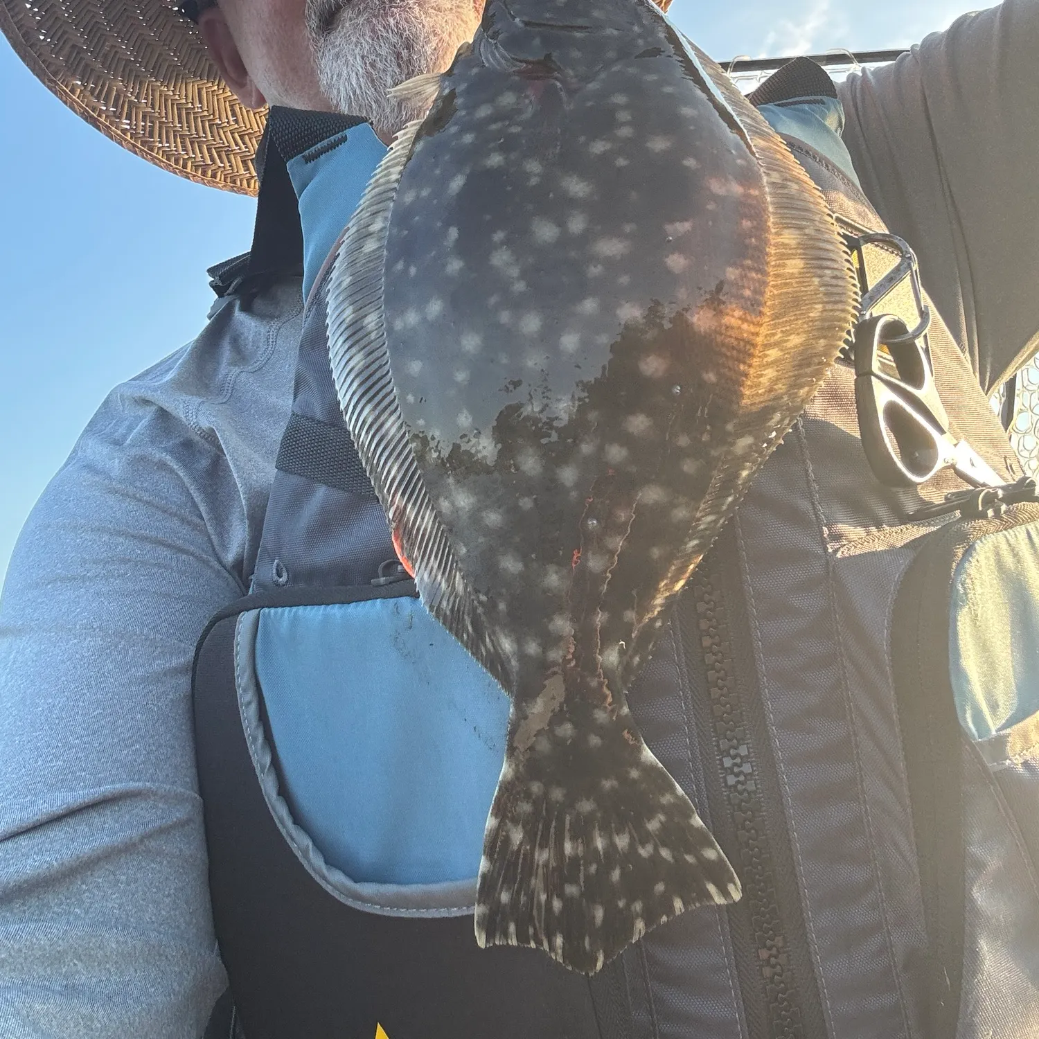 Summer flounder caught on Fishbrain