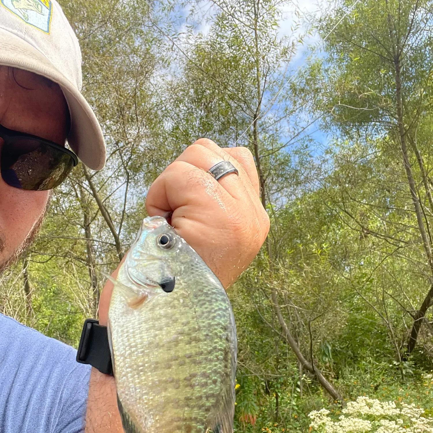 Bluegill caught on Fishbrain