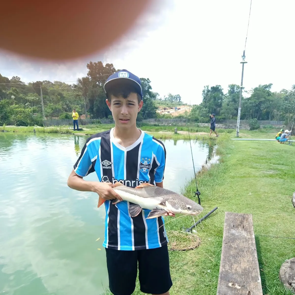 Redtail catfish caught on Fishbrain