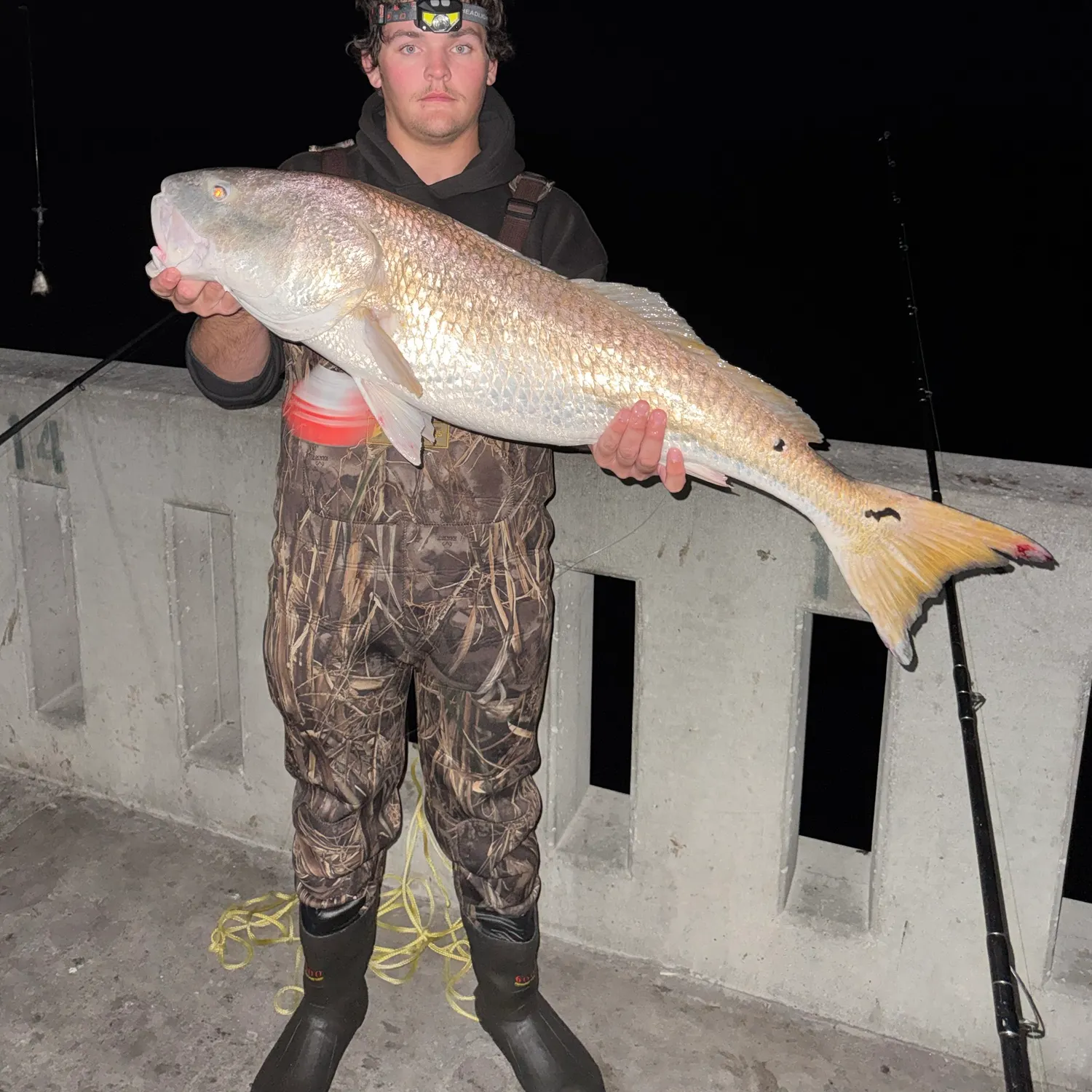 Red drum caught on Fishbrain