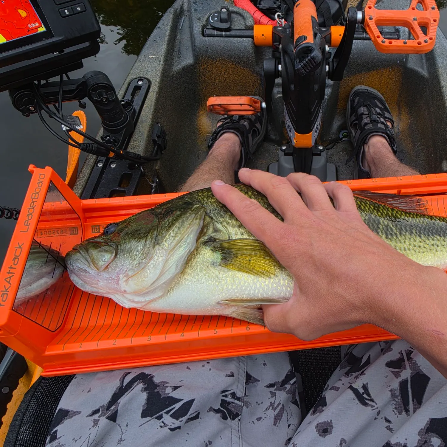 Largemouth bass caught on Fishbrain