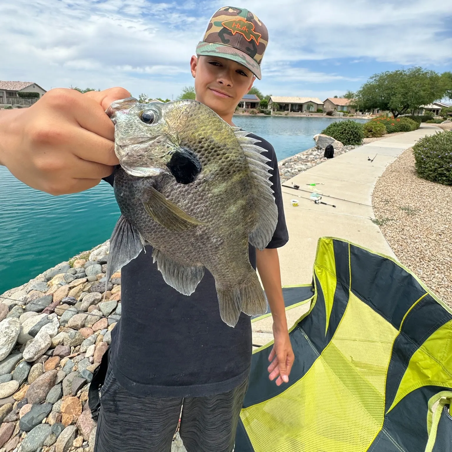 The most recent Bluegill catches on Fishbrain