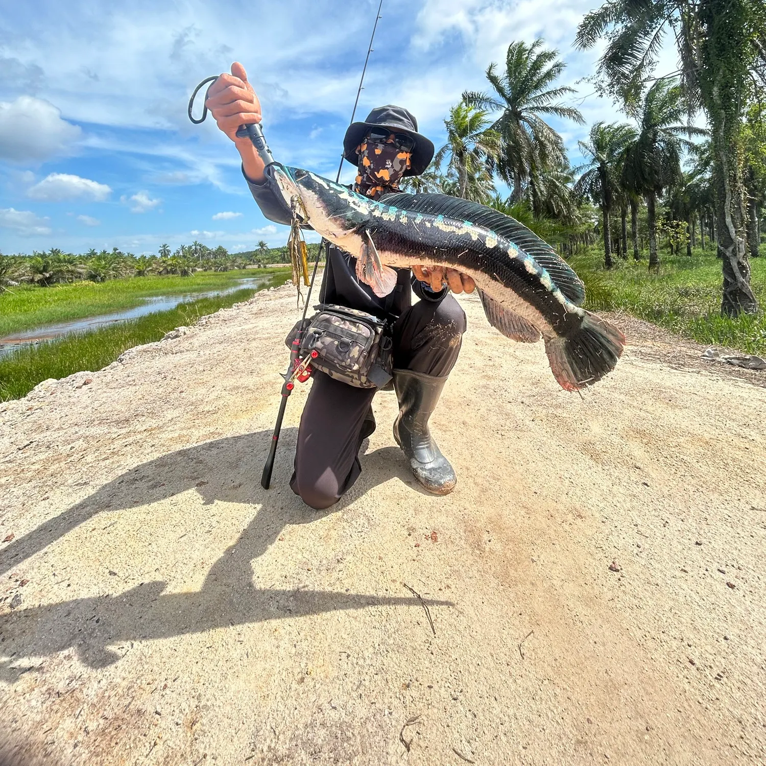 The most recent Indonesian snakehead catches on Fishbrain