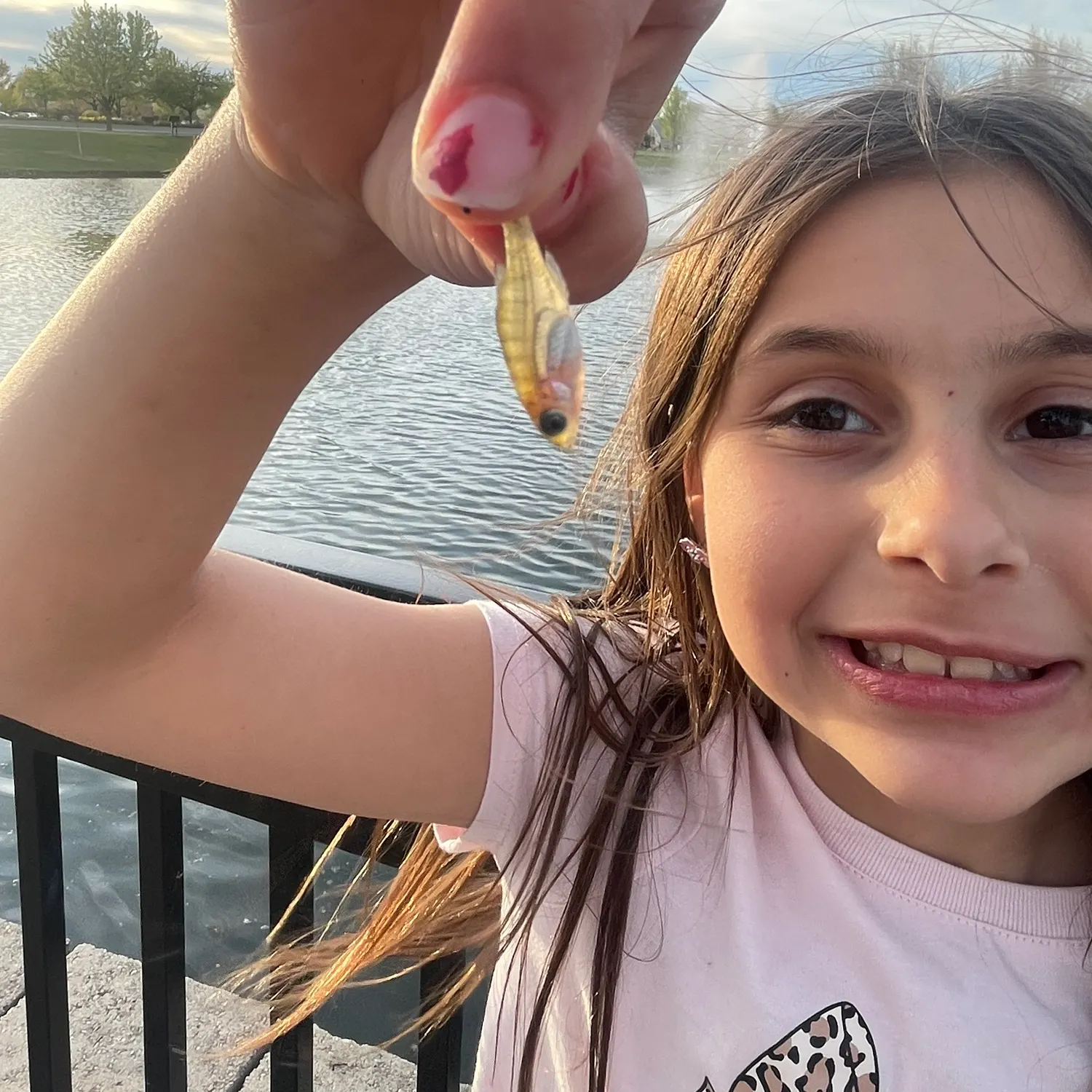 The most recent Guppy catches on Fishbrain