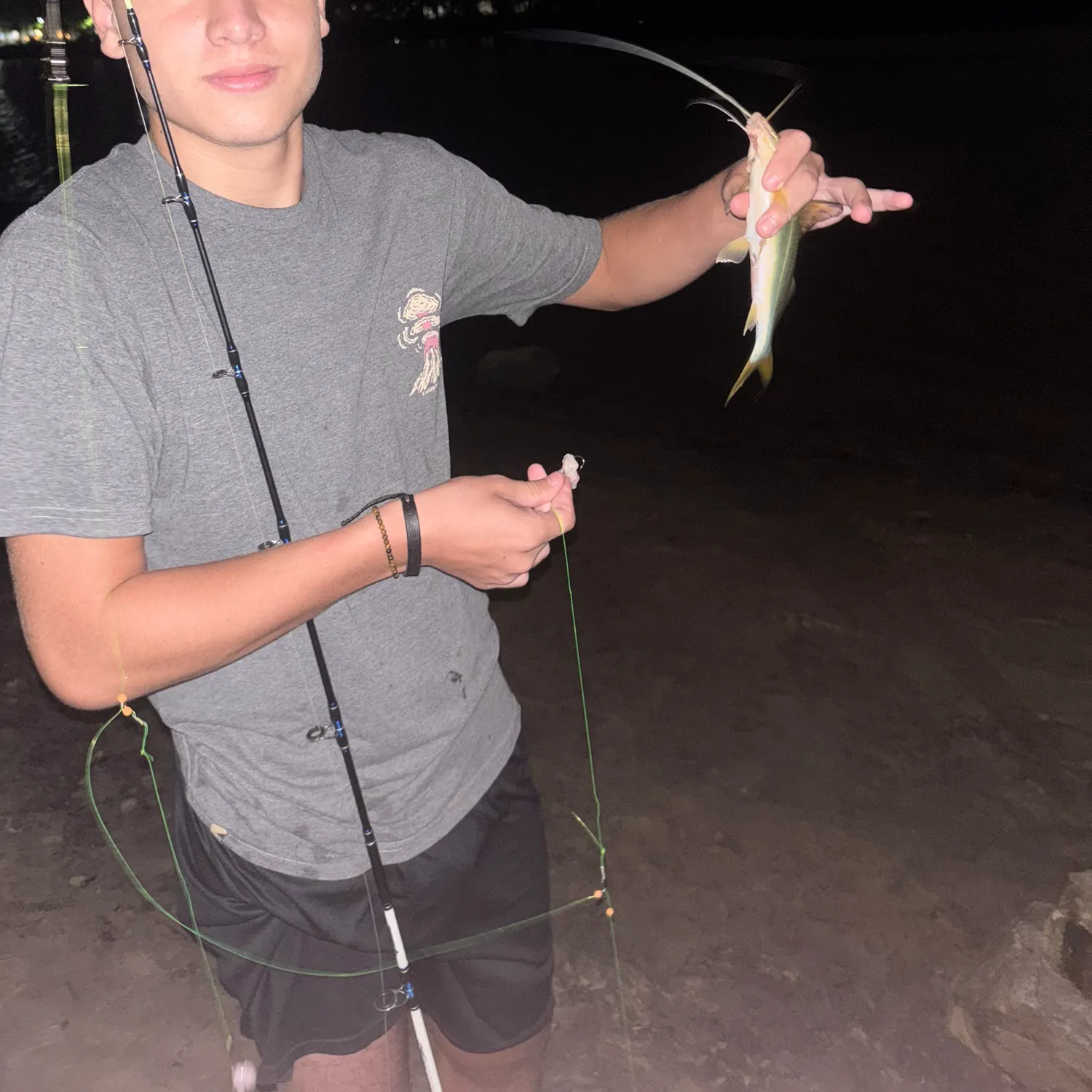 The most recent White pimelodus catches on Fishbrain