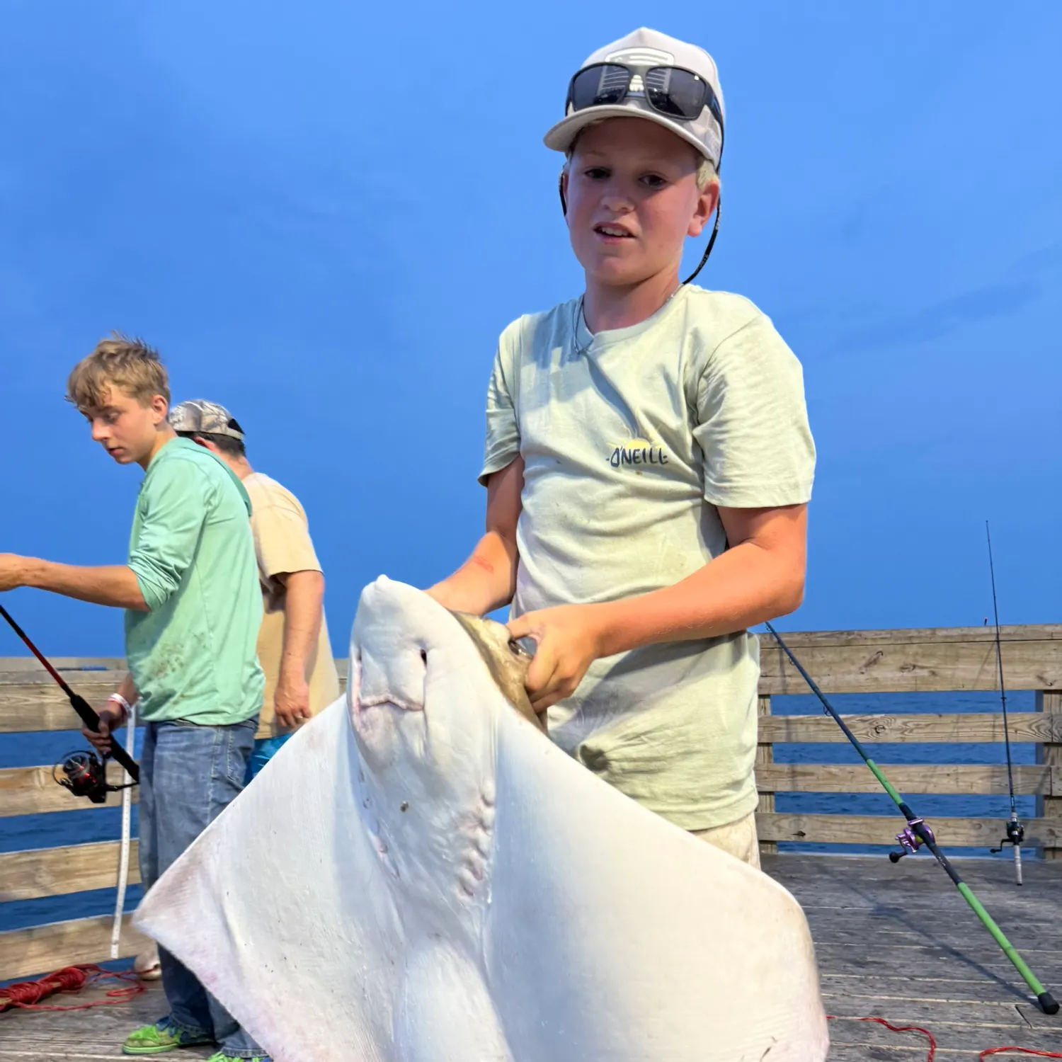 The most recent Common eagle ray catches on Fishbrain