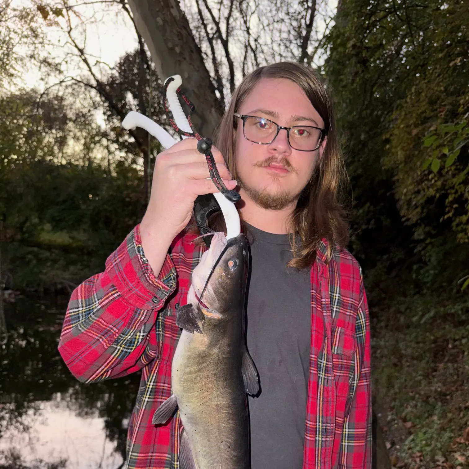 Channel catfish caught on Fishbrain