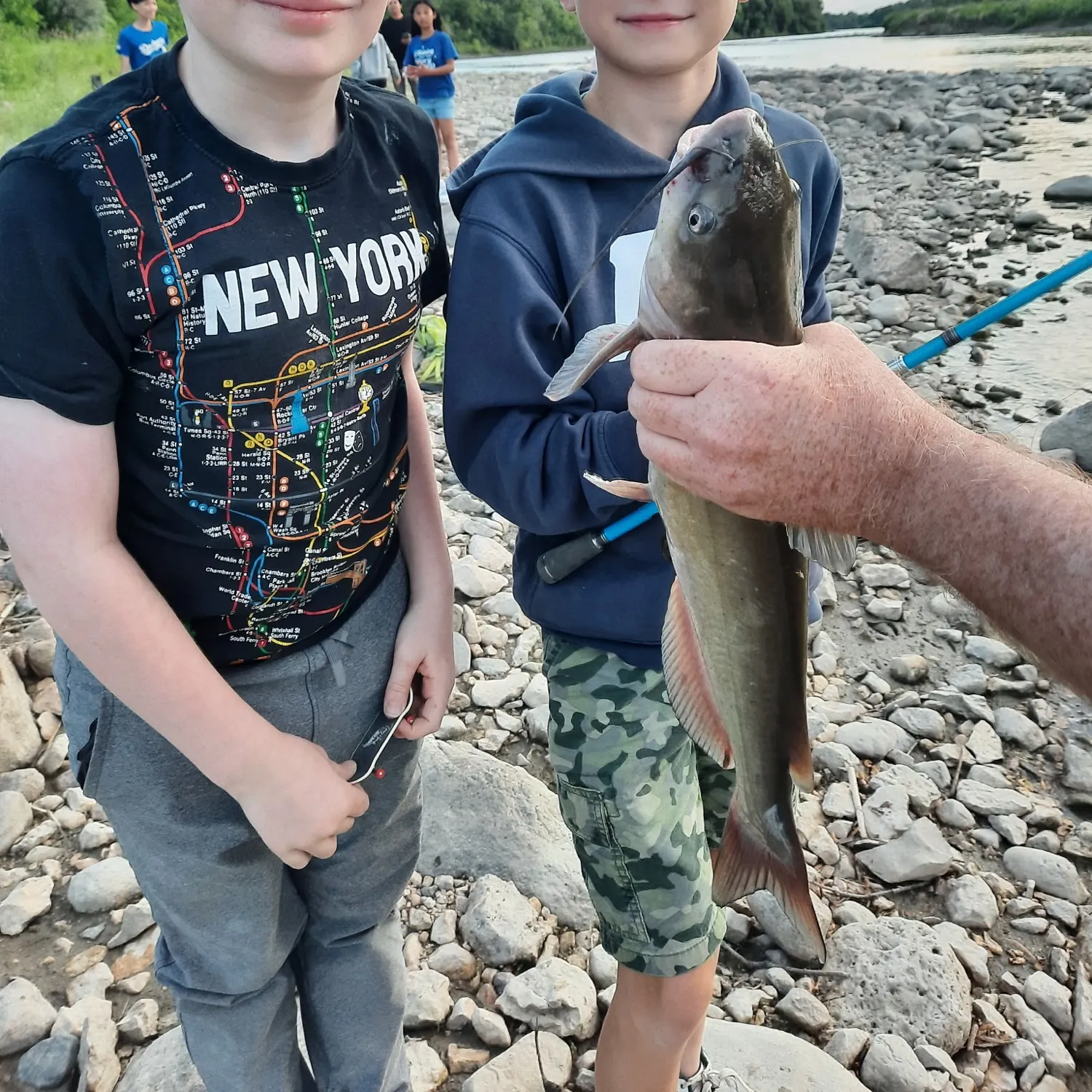 Channel catfish caught on Fishbrain