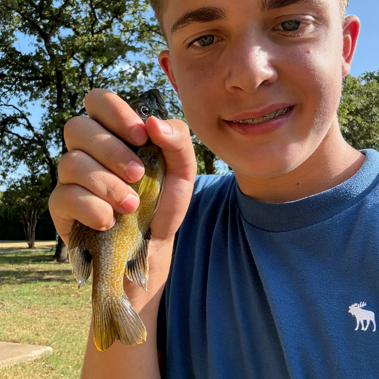 Bluegill caught on Fishbrain
