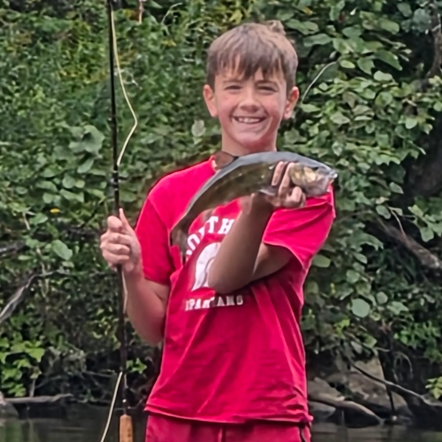 Fallfish caught on Fishbrain