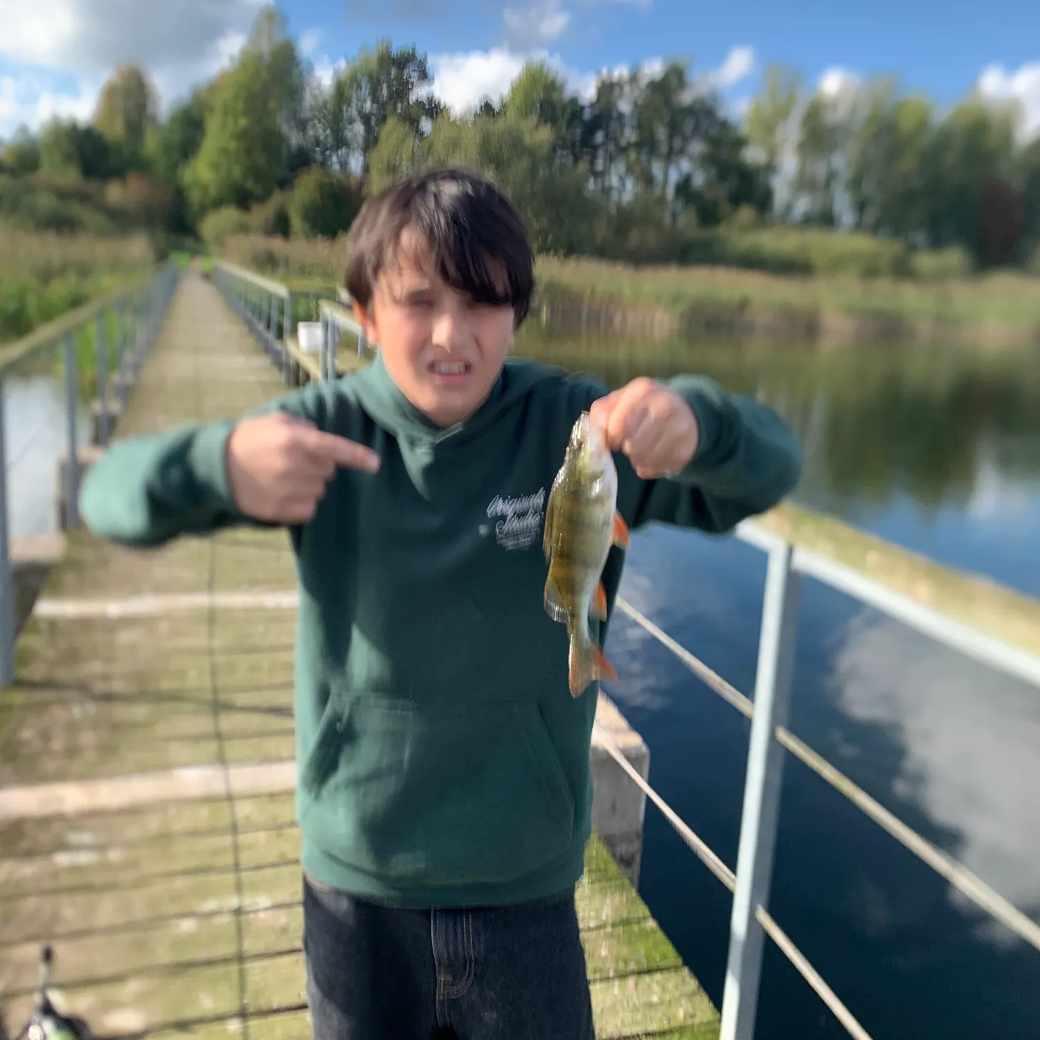European perch caught on Fishbrain
